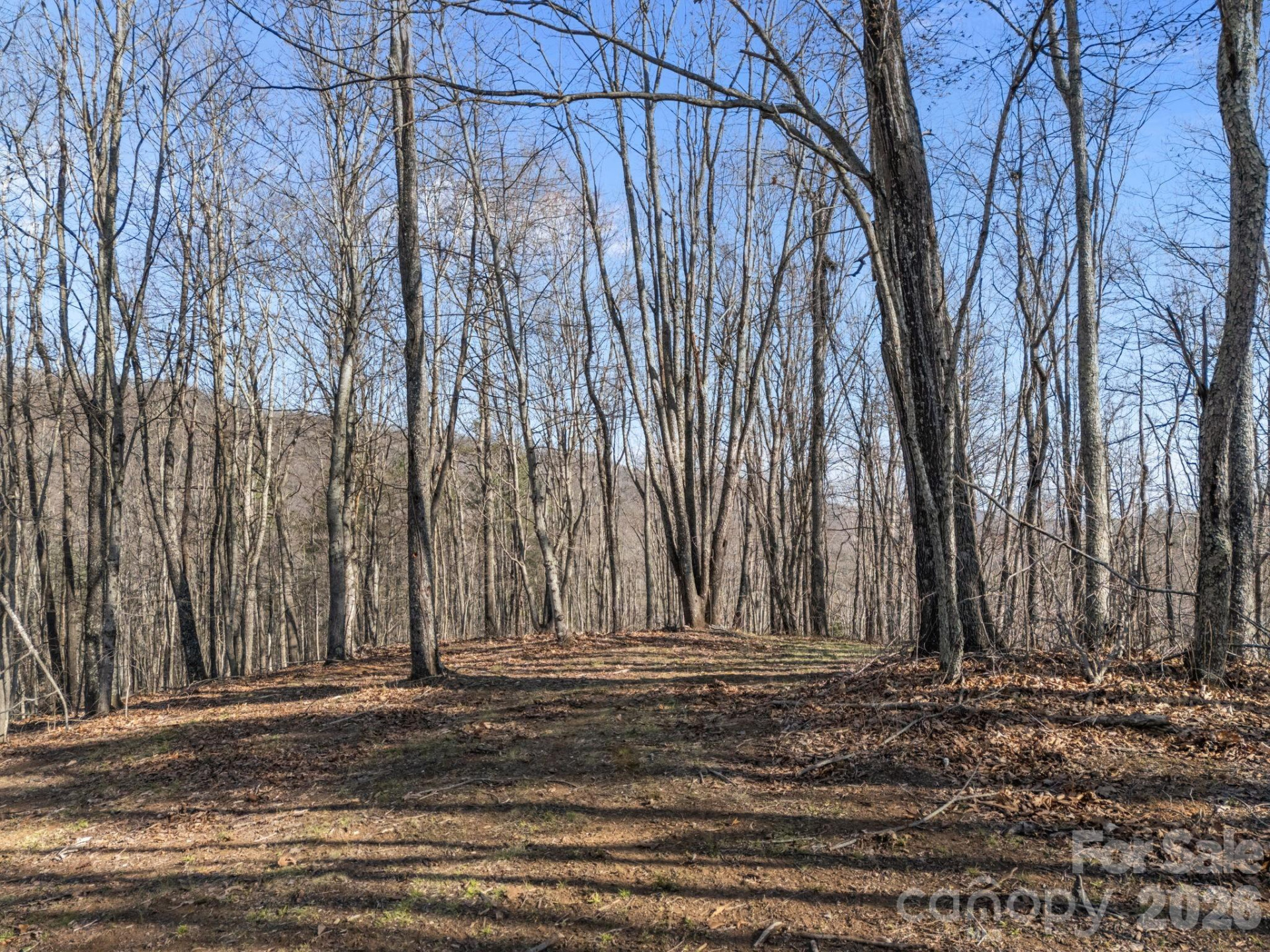 9999 Hidden Cove Road - Photo 4