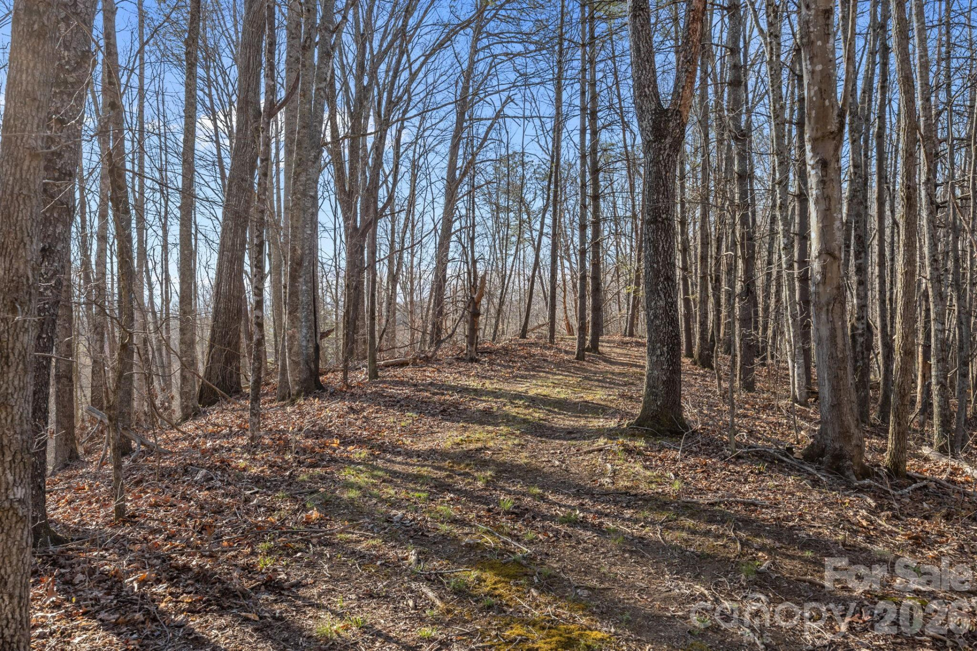 9999 Hidden Cove Road - Photo 5