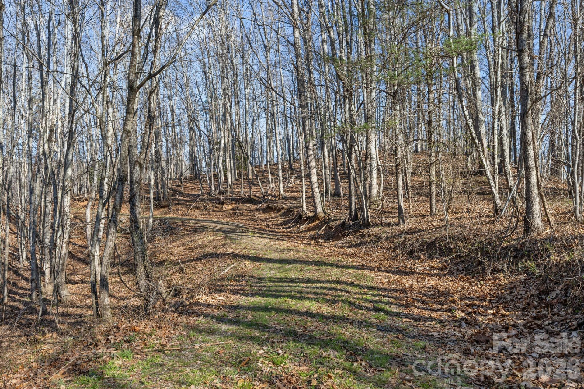 9999 Hidden Cove Road - Photo 6