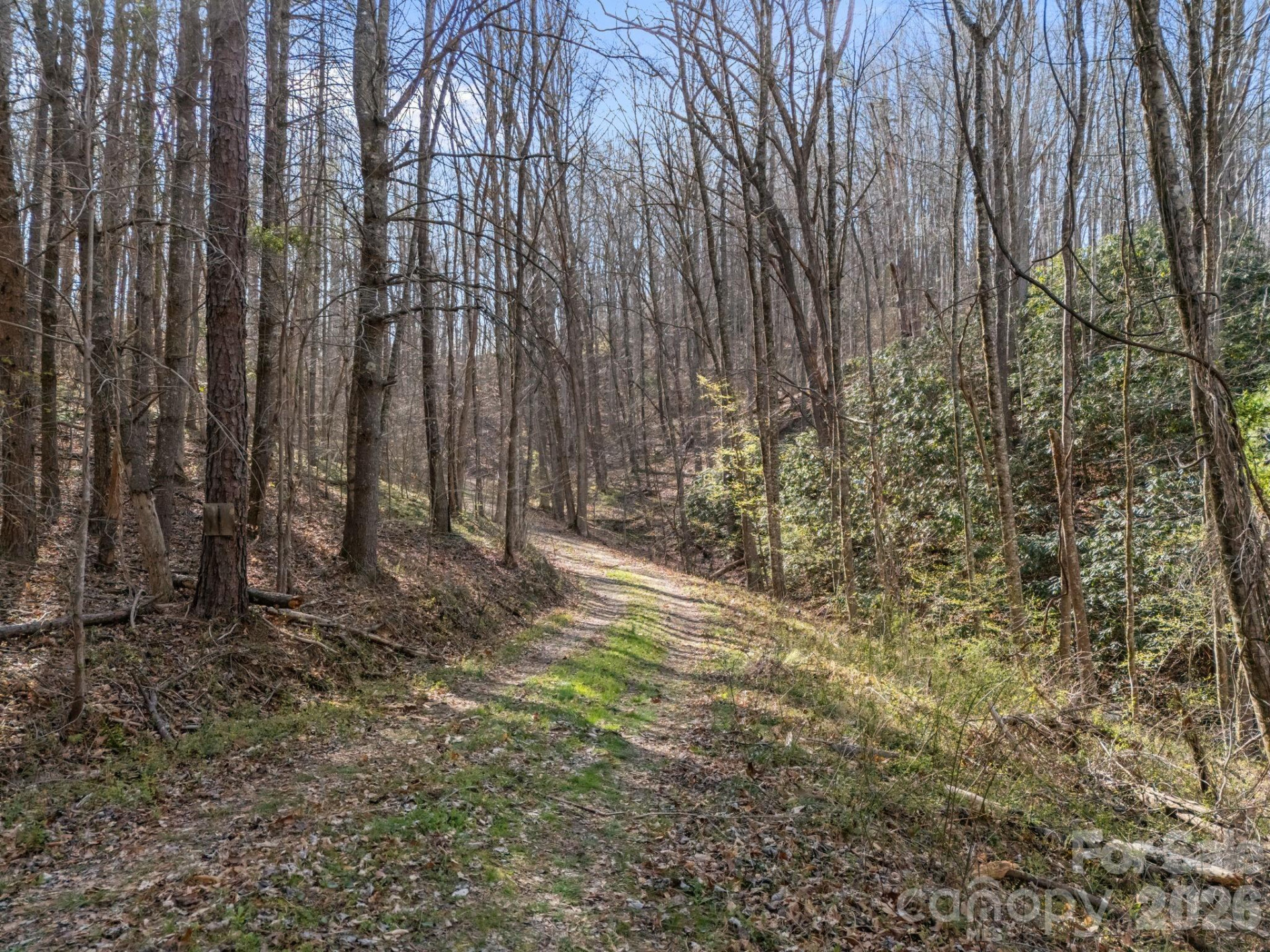 9999 Hidden Cove Road - Photo 7