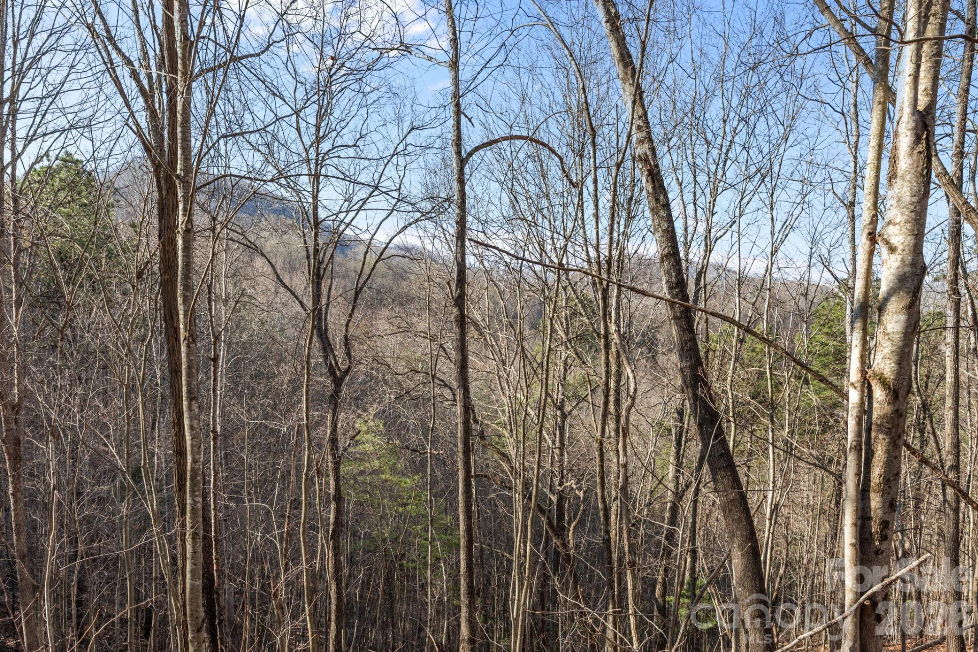 9999 Hidden Cove Road - Photo 8