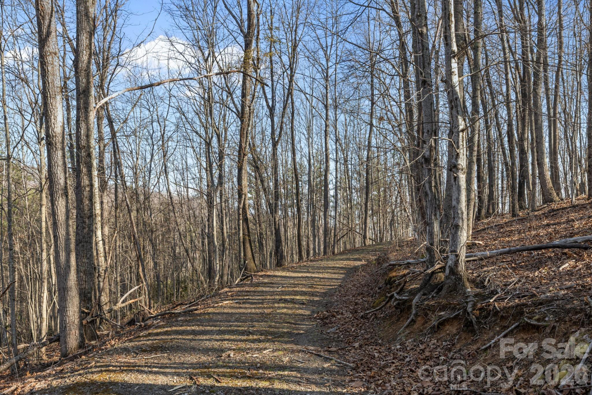 9999 Hidden Cove Road - Photo 9