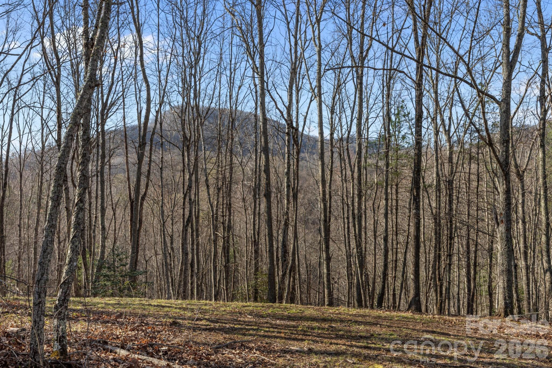 9999 Hidden Cove Road - Photo 10