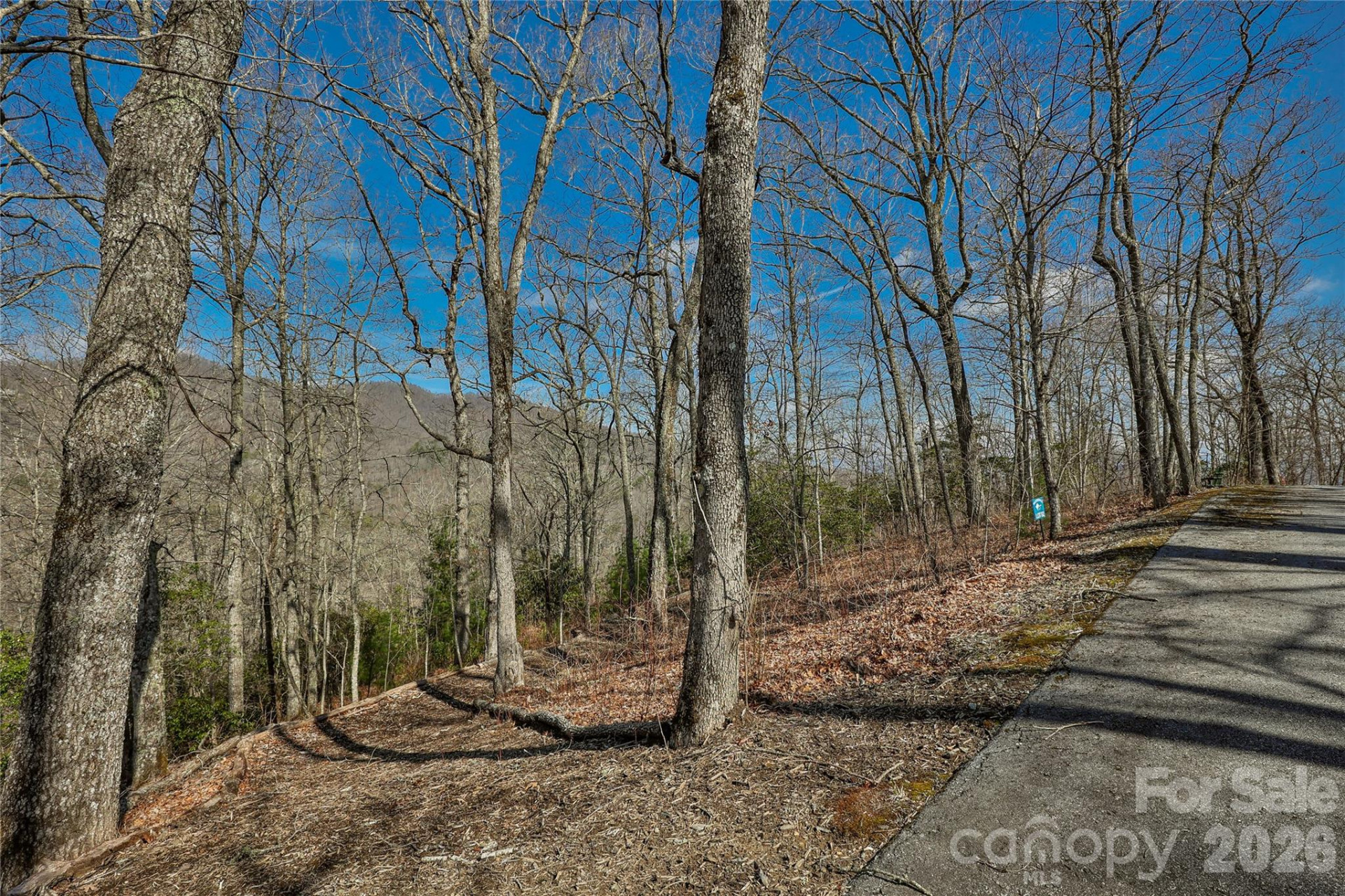 Lot 85 Waterdance Drive - Photo 2