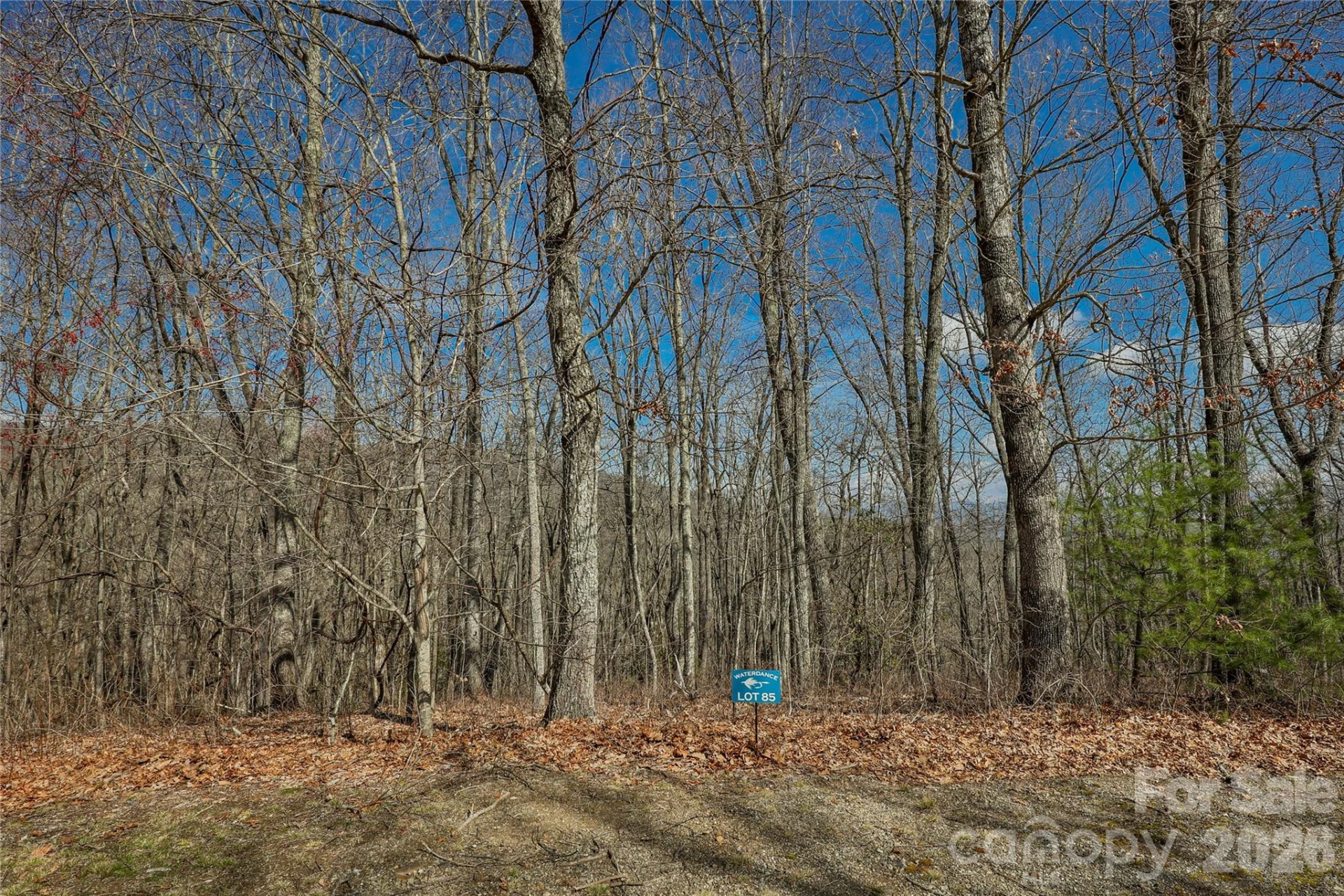 Lot 85 Waterdance Drive - Photo 3