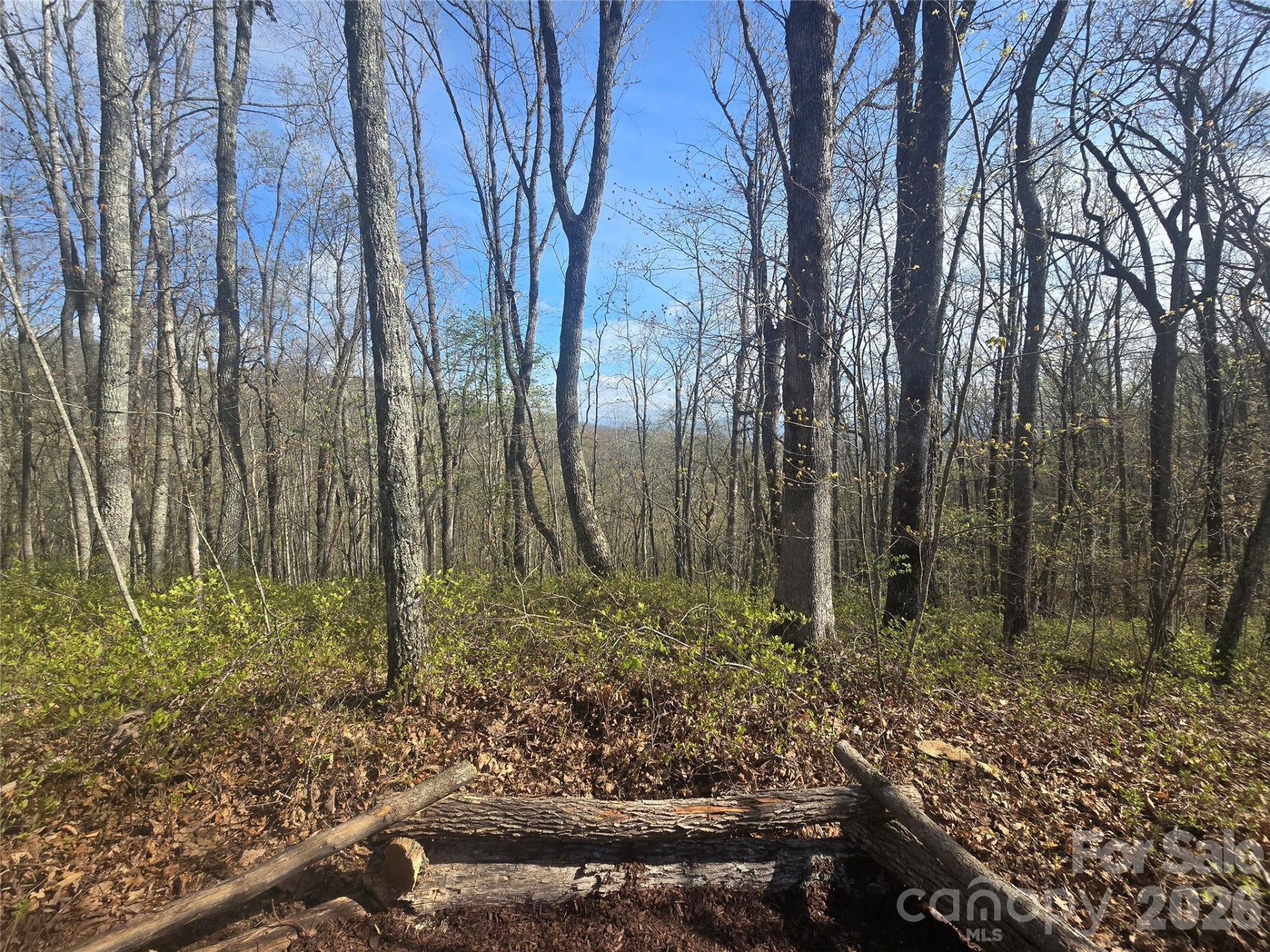 Lot 85 Waterdance Drive - Photo 4