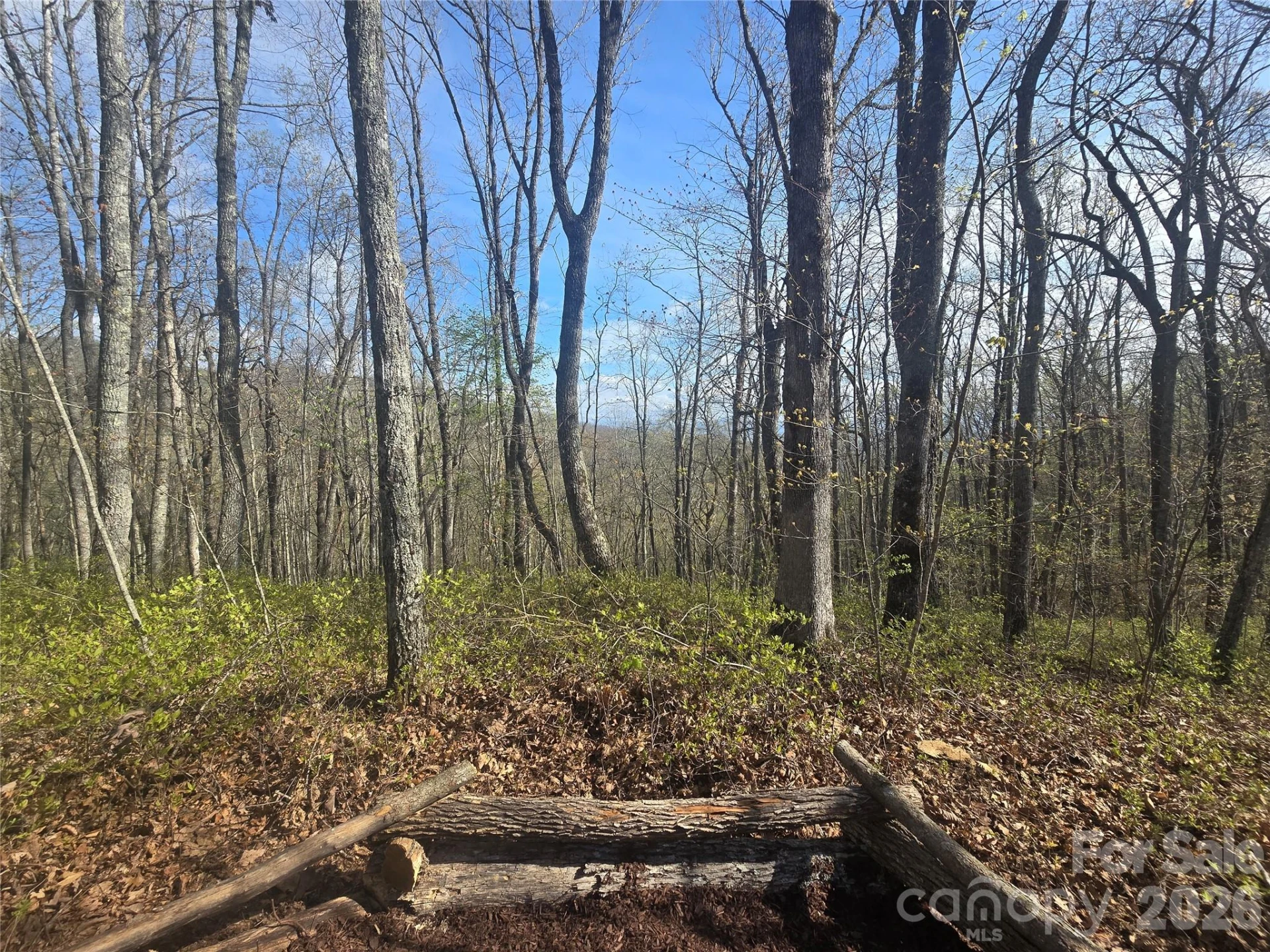 Lot 85 Waterdance Drive - Photo 4