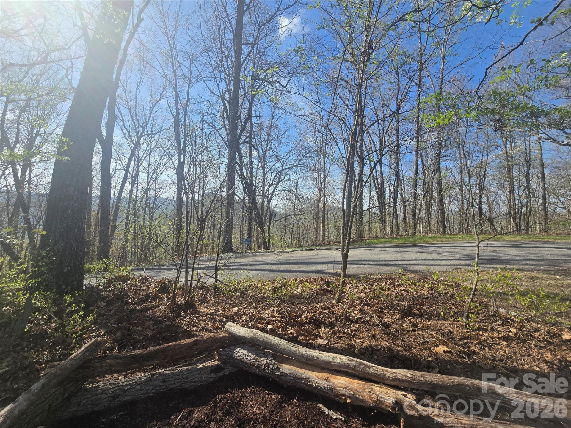 Lot 85 Waterdance Drive - Photo 5