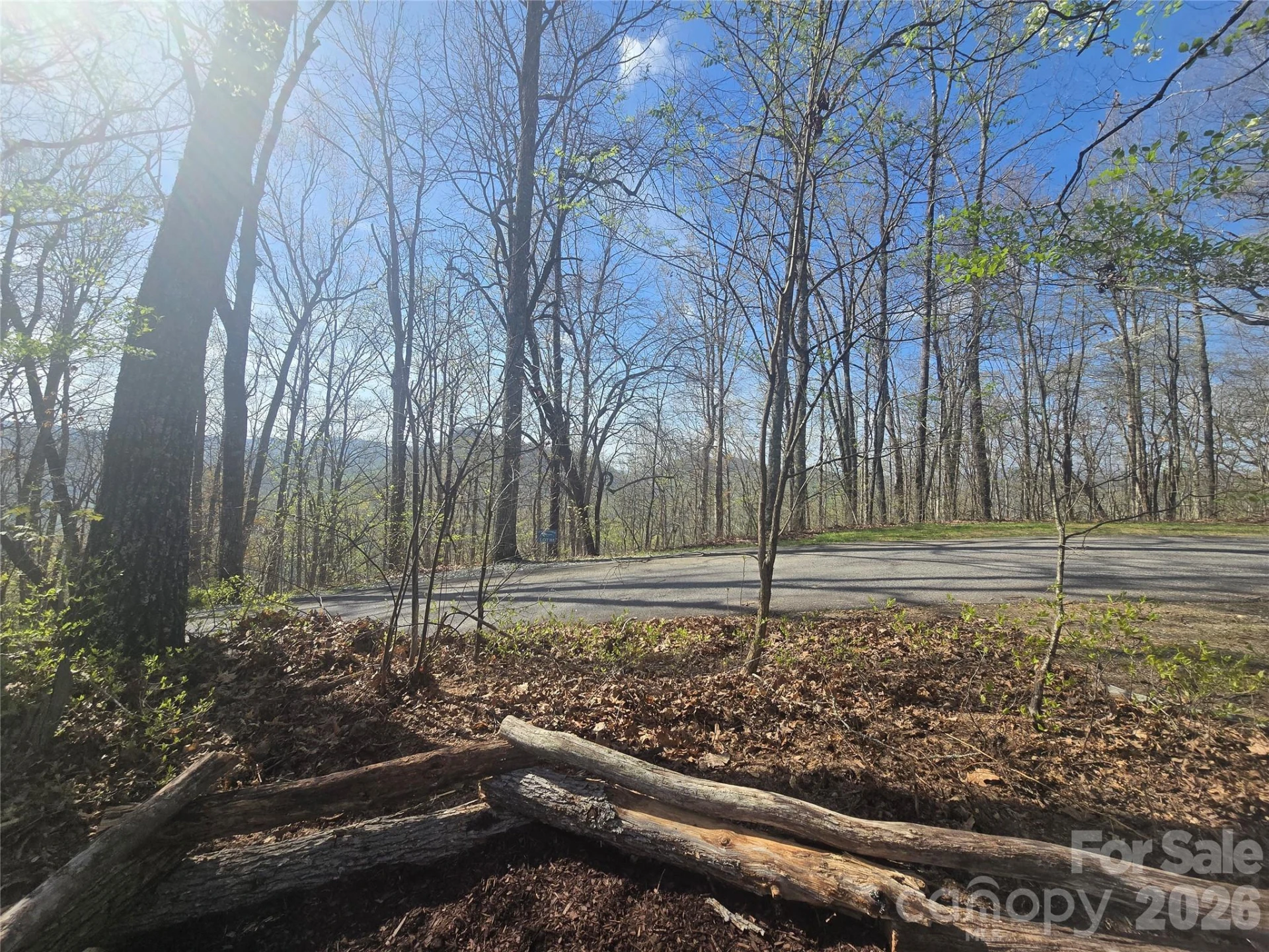 Lot 85 Waterdance Drive - Photo 5
