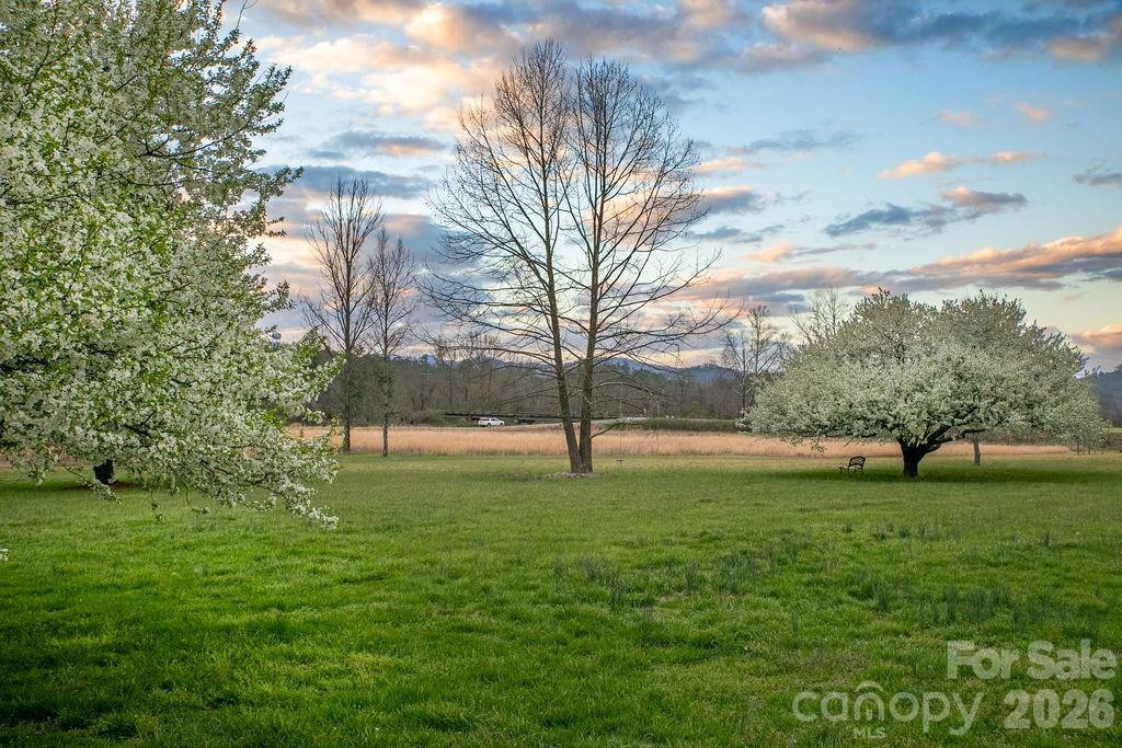 151 Everett Road - Photo 12