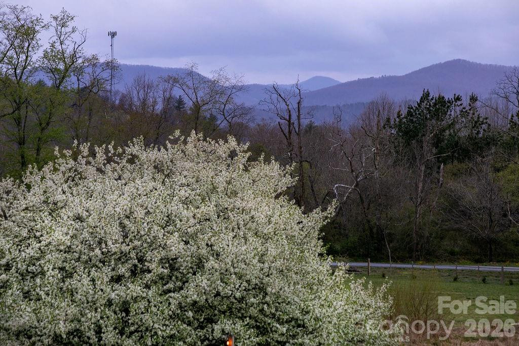 151 Everett Road - Photo 10