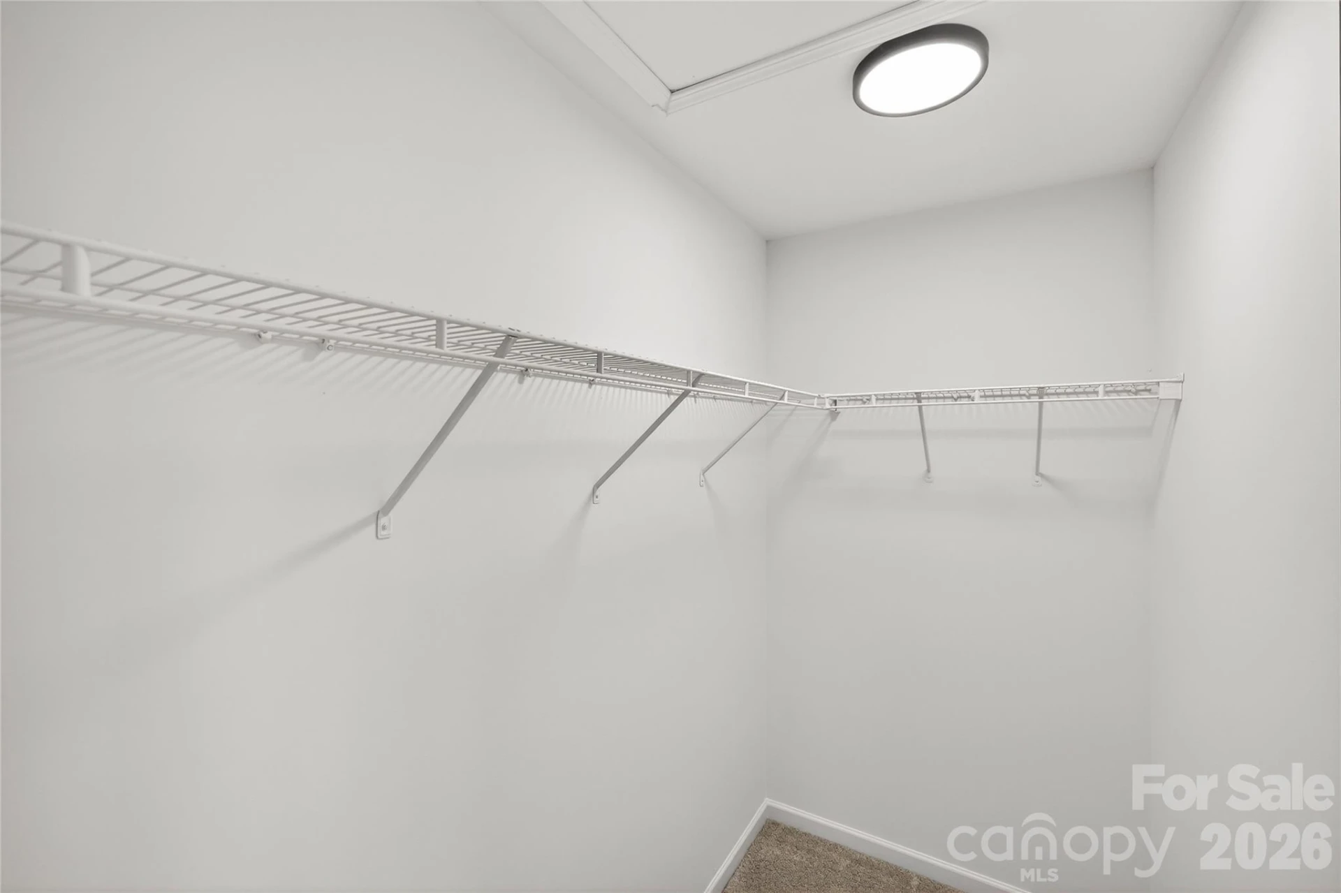 109 Delargy Circle - Photo 15