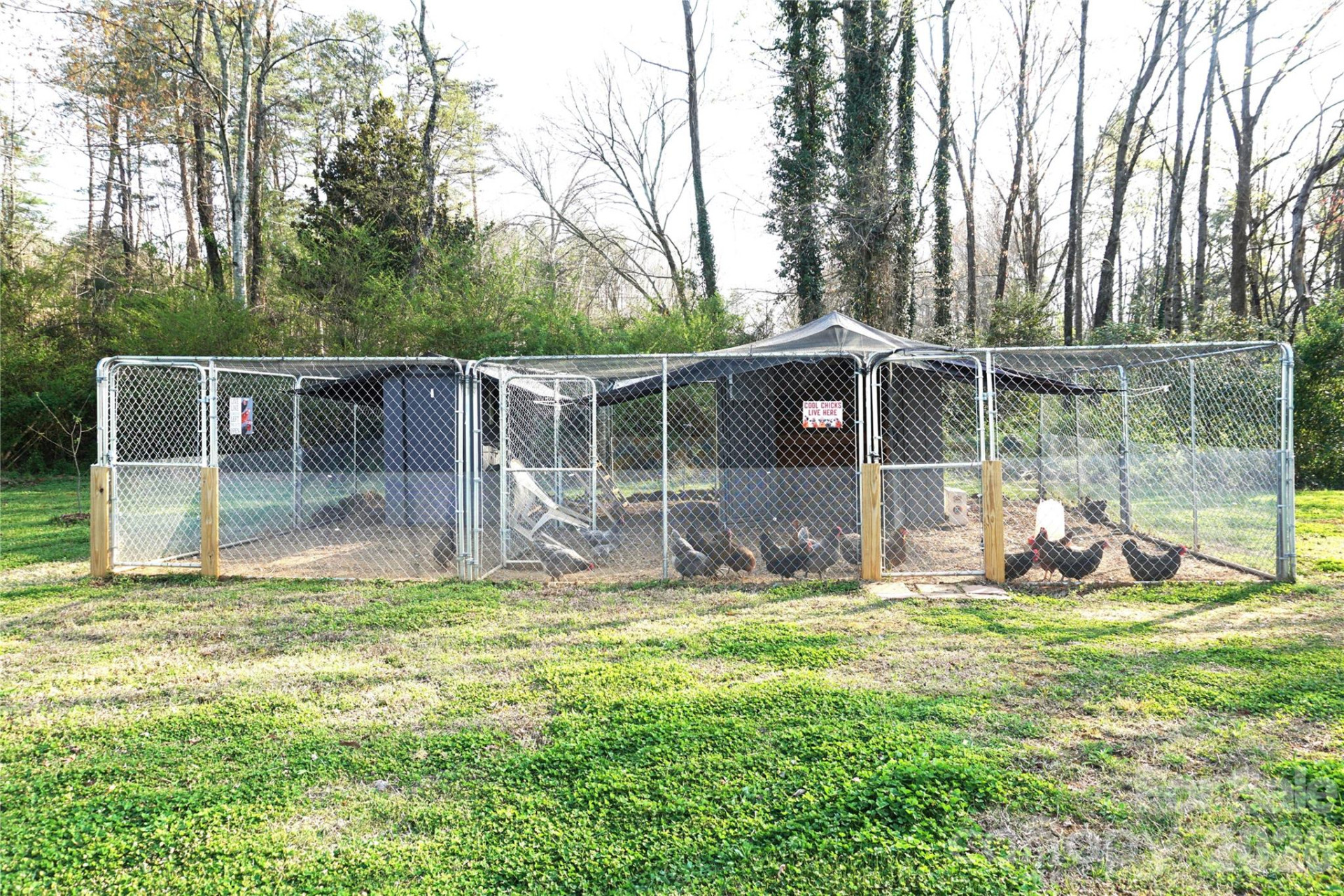 6591 George Hildebran School Road - Photo 33