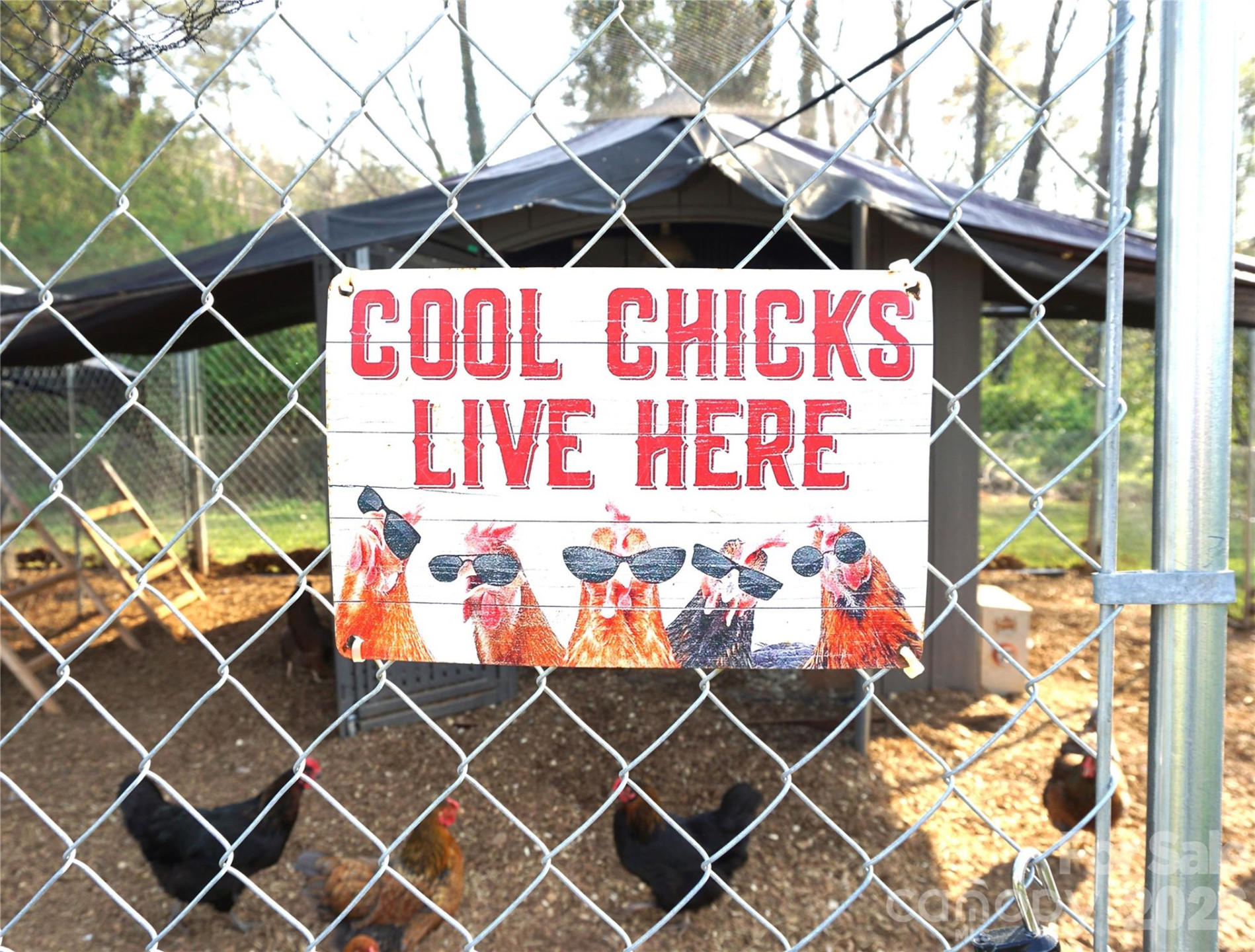 6591 George Hildebran School Road - Photo 34