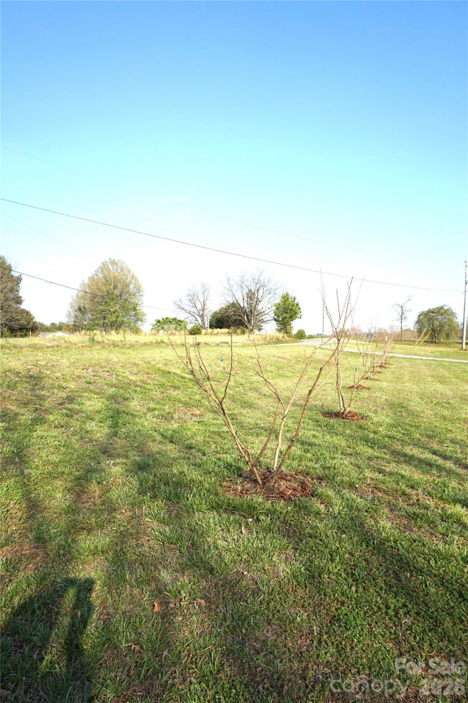 6591 George Hildebran School Road - Photo 5