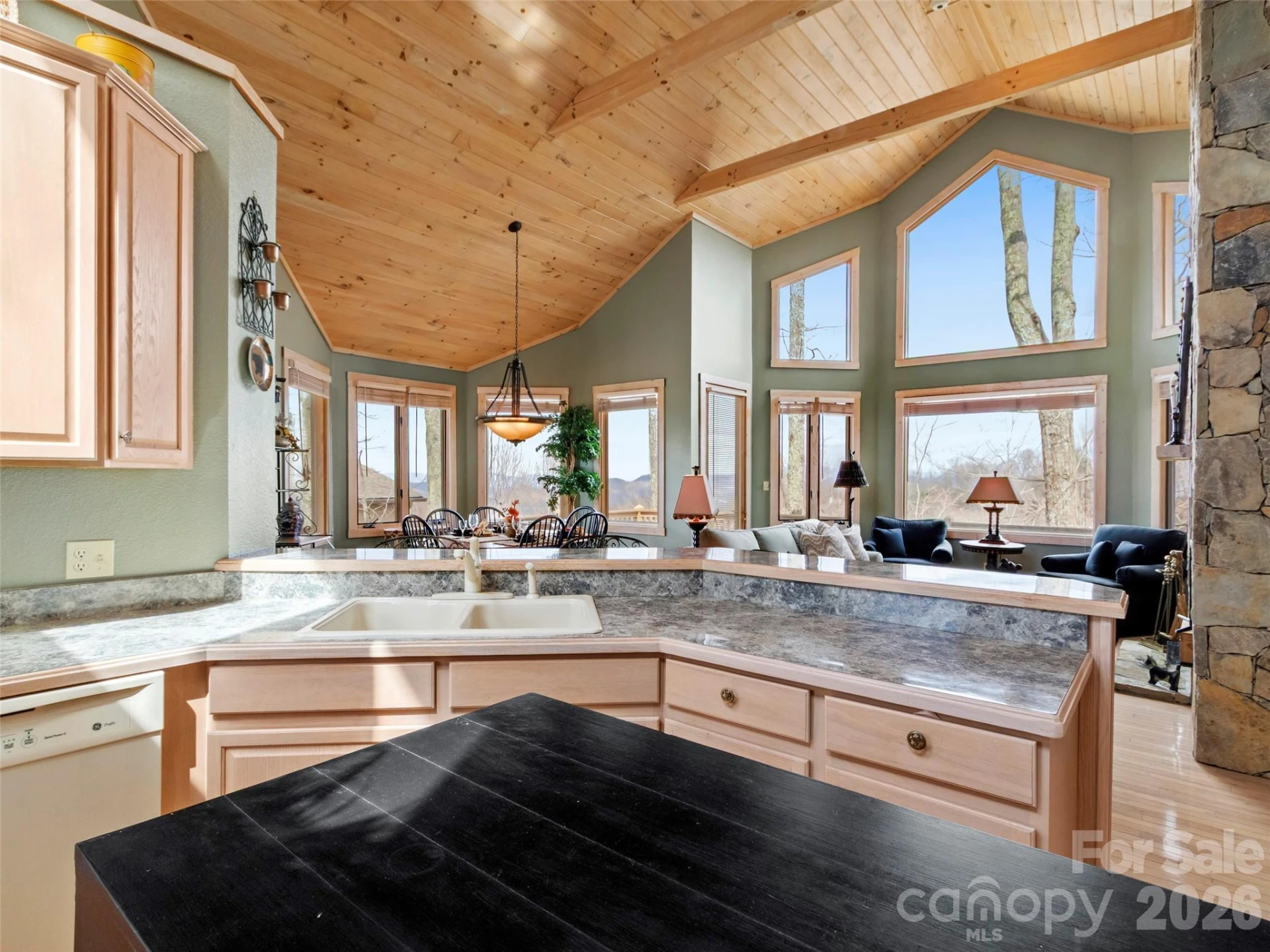 2163 Mountain Air Drive - Photo 15