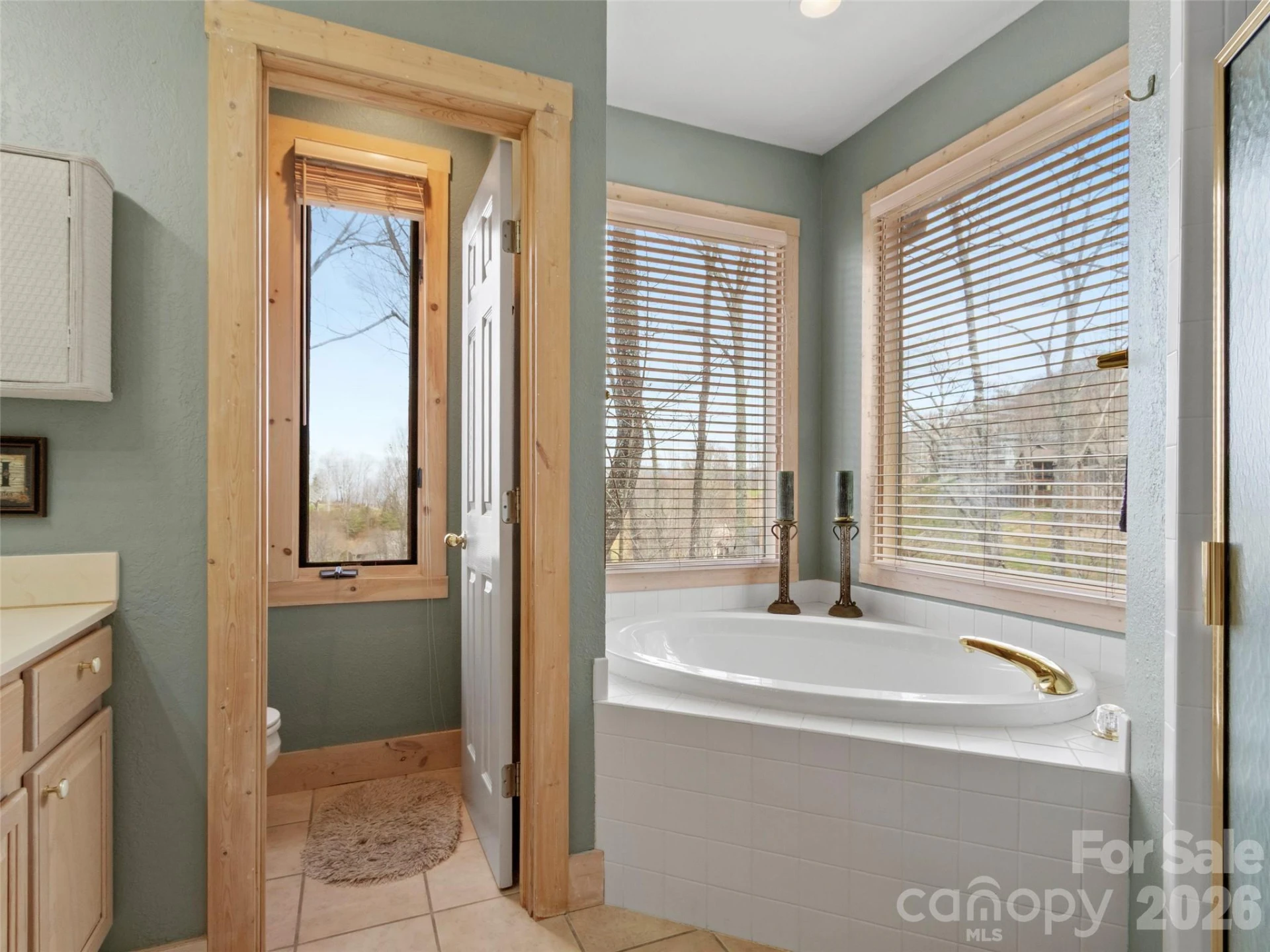 2163 Mountain Air Drive - Photo 22