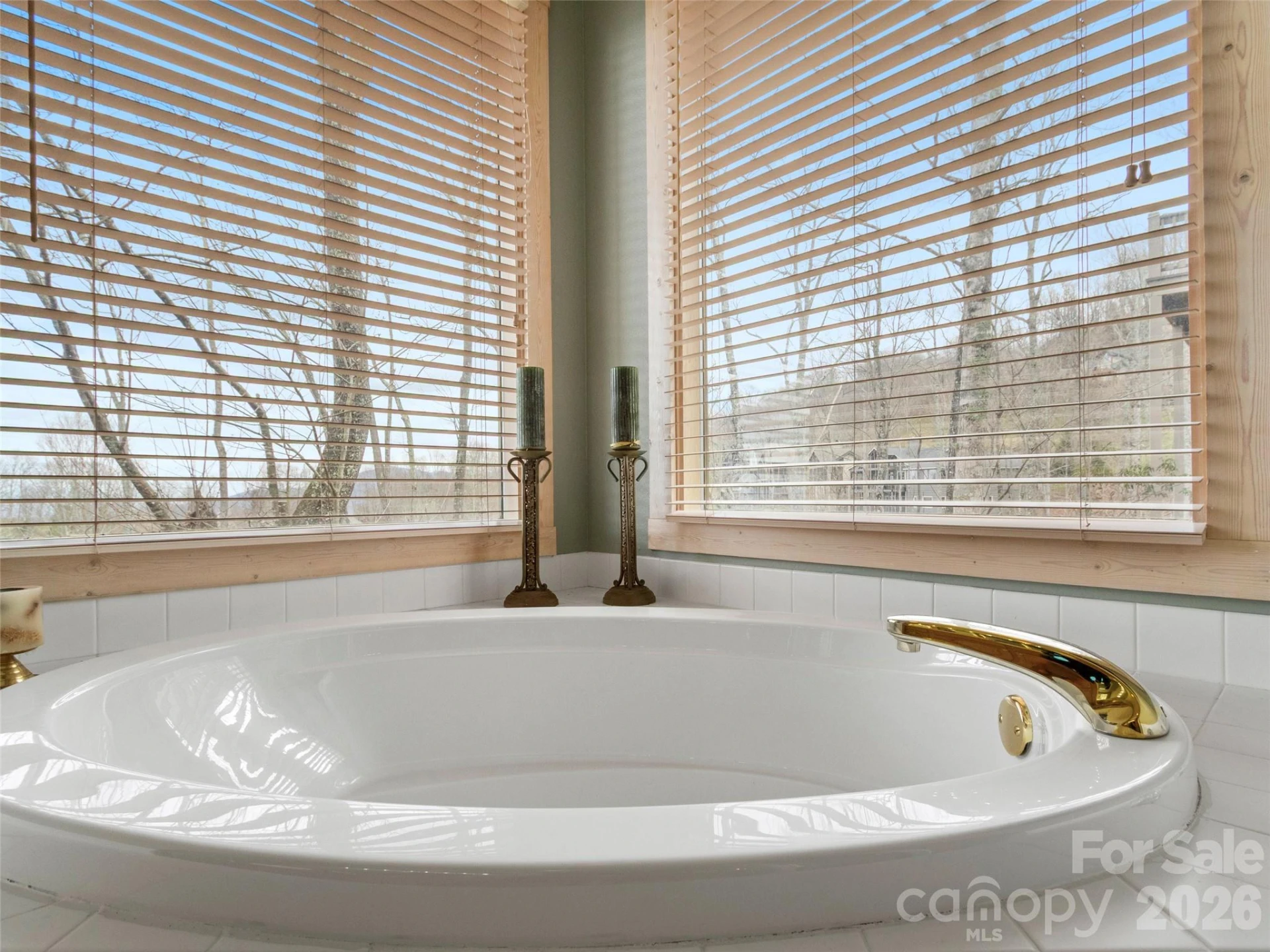 2163 Mountain Air Drive - Photo 23