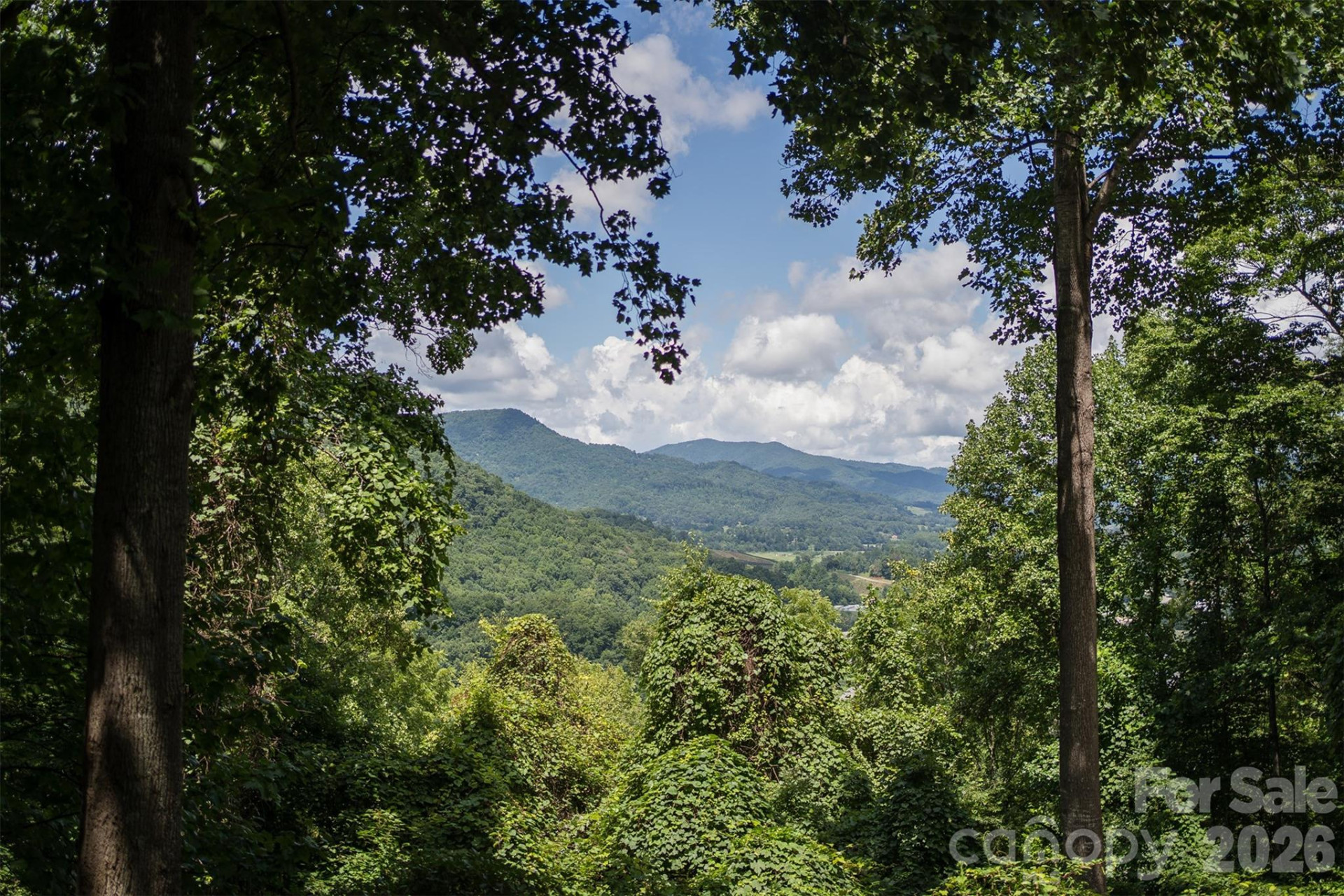 612 Whispering Winds Road - Photo 12