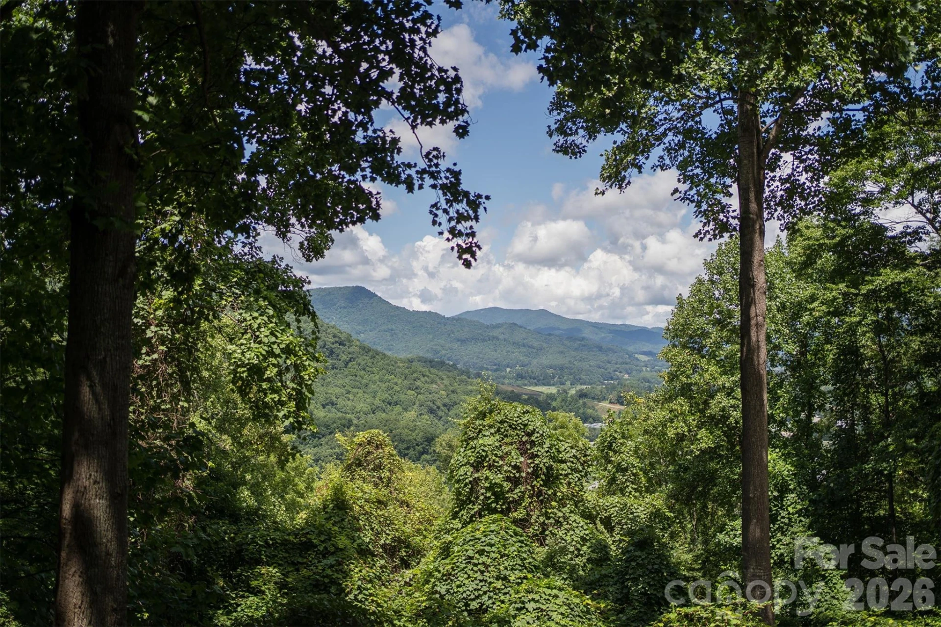 612 Whispering Winds Road - Photo 12