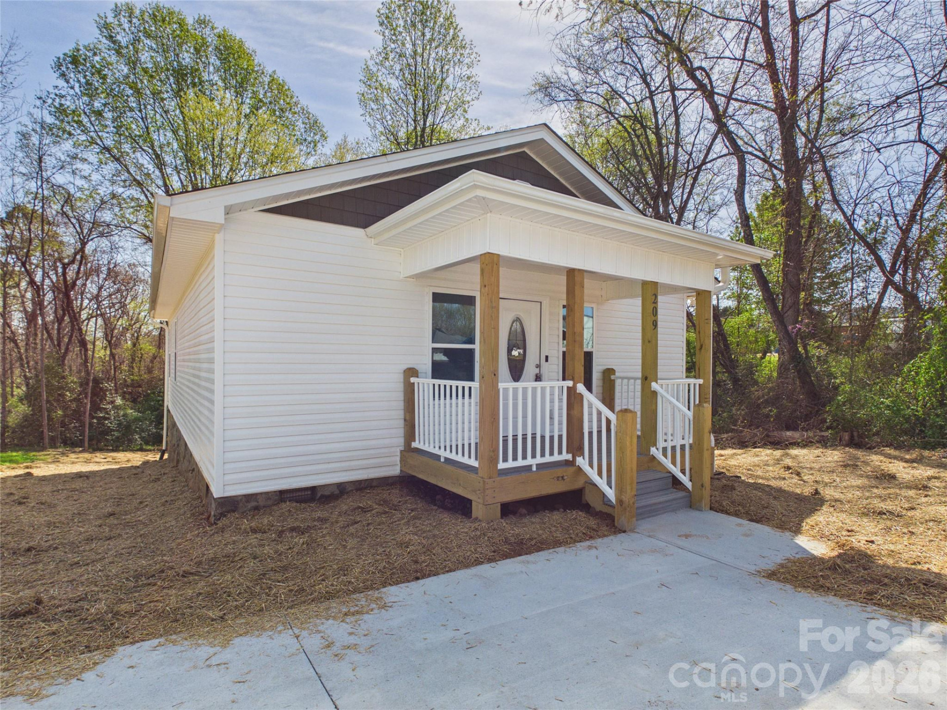 209 Hauss Ridge Road - Photo 3