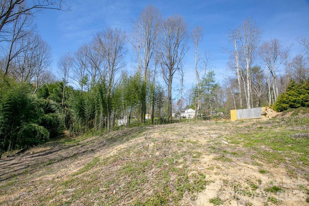 47 Chestnut Lane - Photo 8