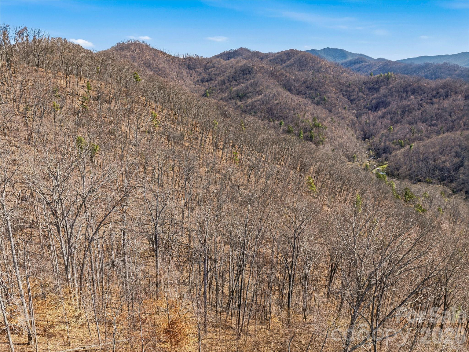 182 Whittemore Branch Road - Photo 42