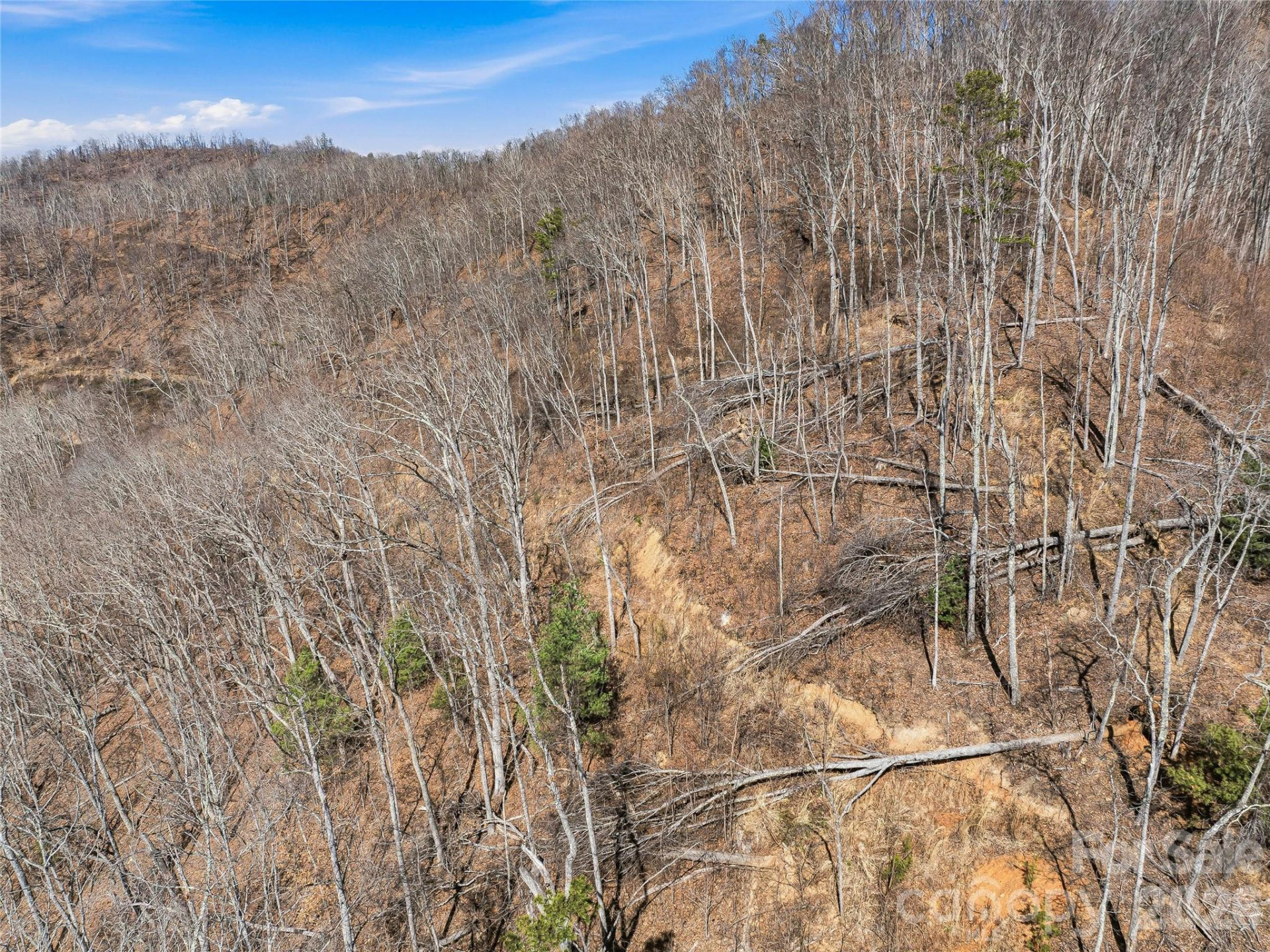 182 Whittemore Branch Road - Photo 45