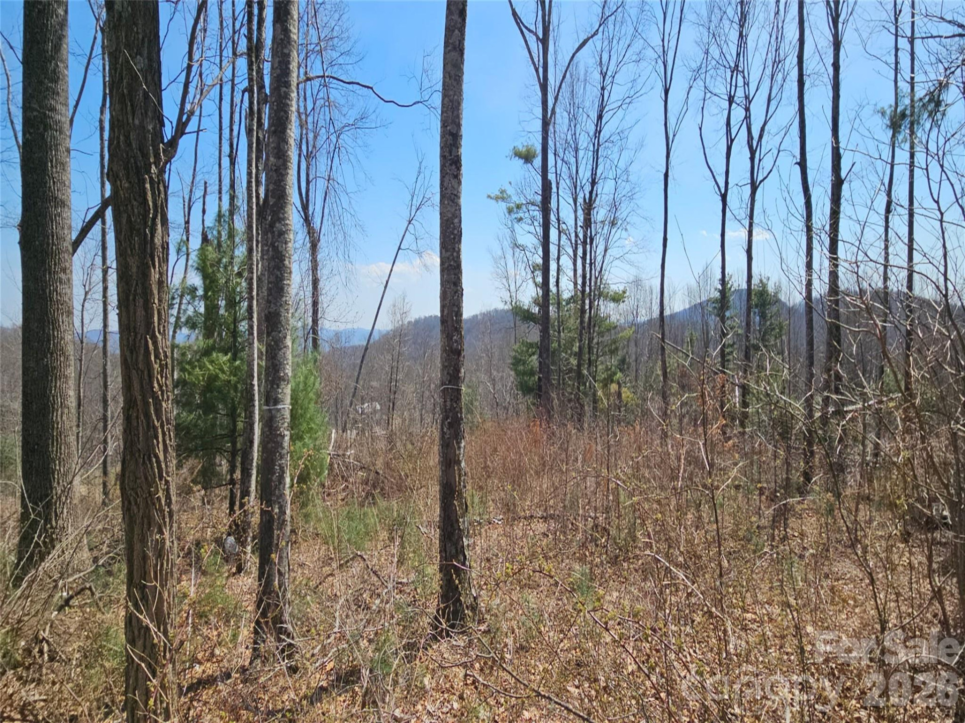 189 Dancing Bear Drive - Photo 2