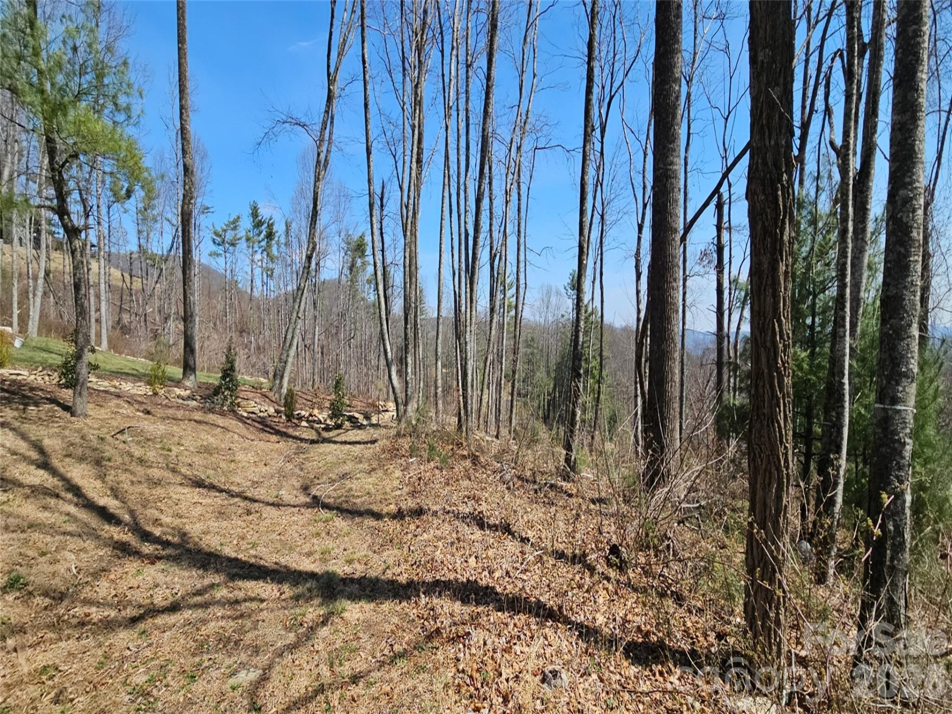 189 Dancing Bear Drive - Photo 3