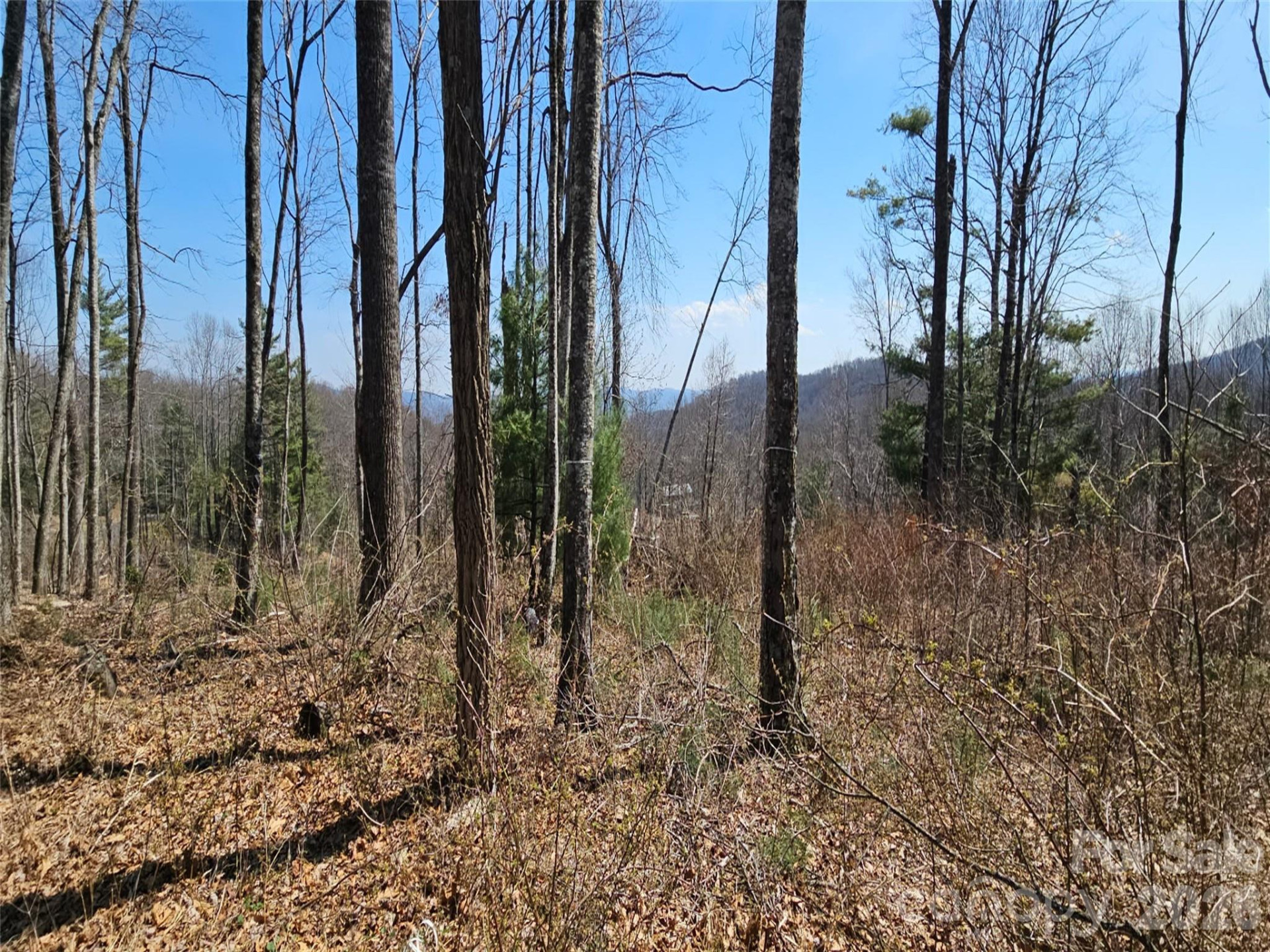 189 Dancing Bear Drive - Photo 4