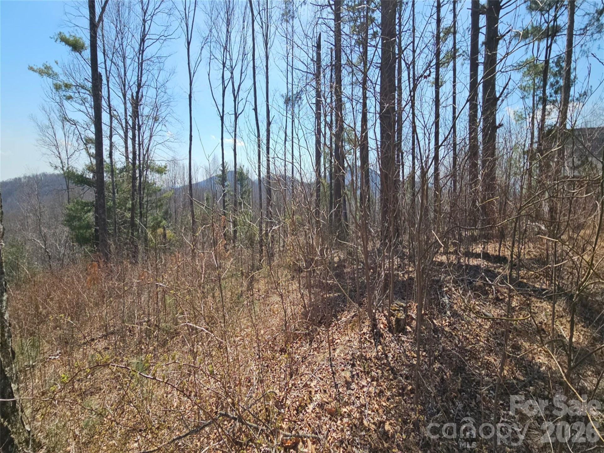 189 Dancing Bear Drive - Photo 5