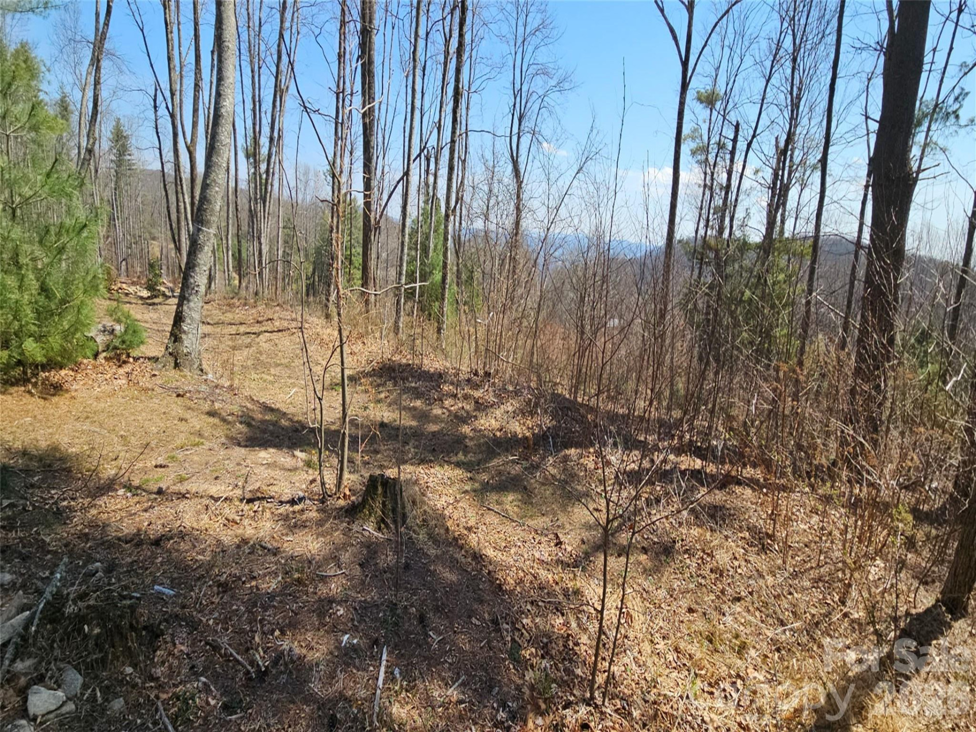 189 Dancing Bear Drive - Photo 6