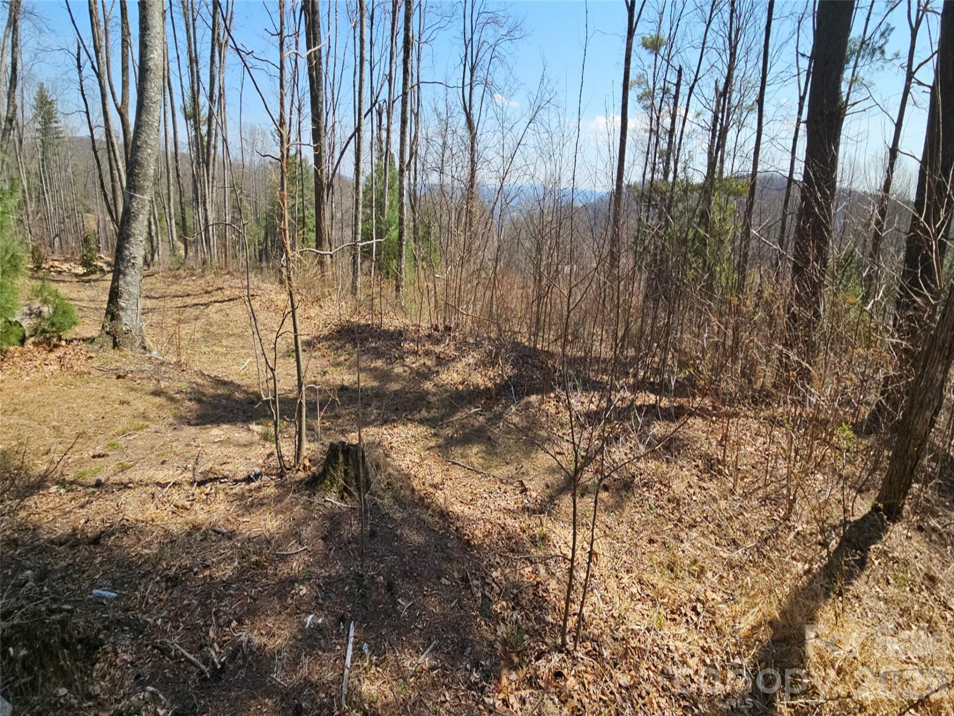 189 Dancing Bear Drive - Photo 7