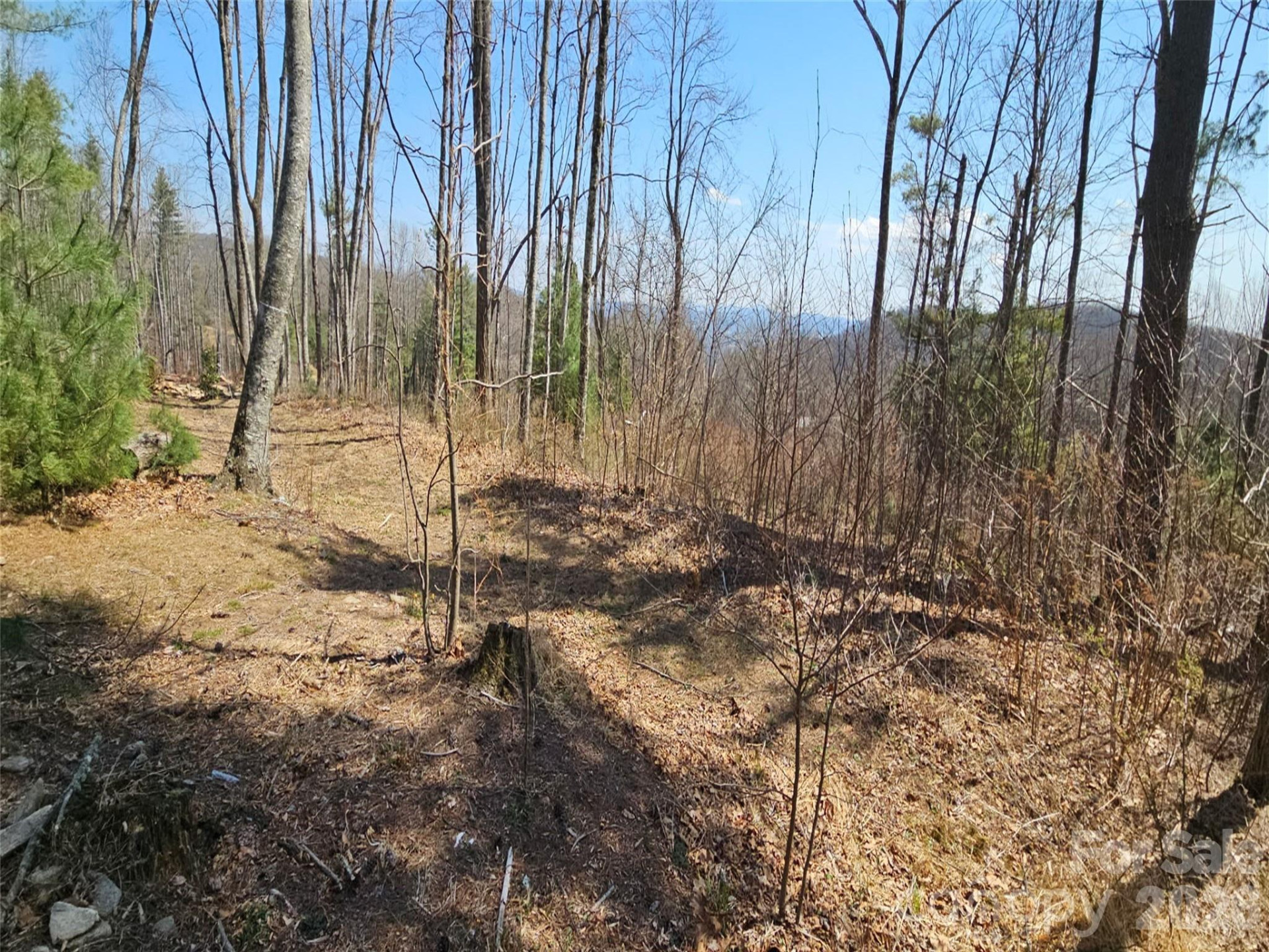 189 Dancing Bear Drive - Photo 8