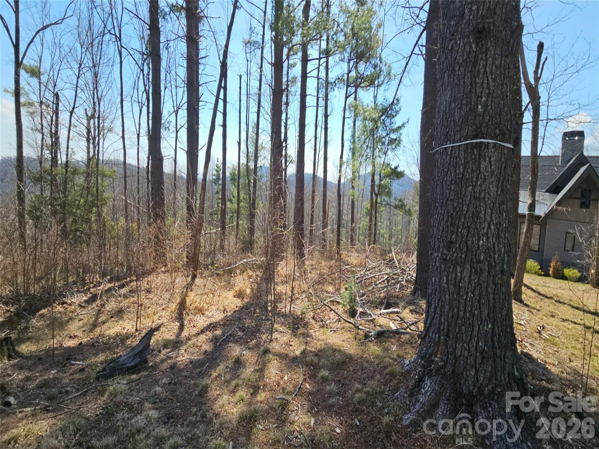 189 Dancing Bear Drive - Photo 9