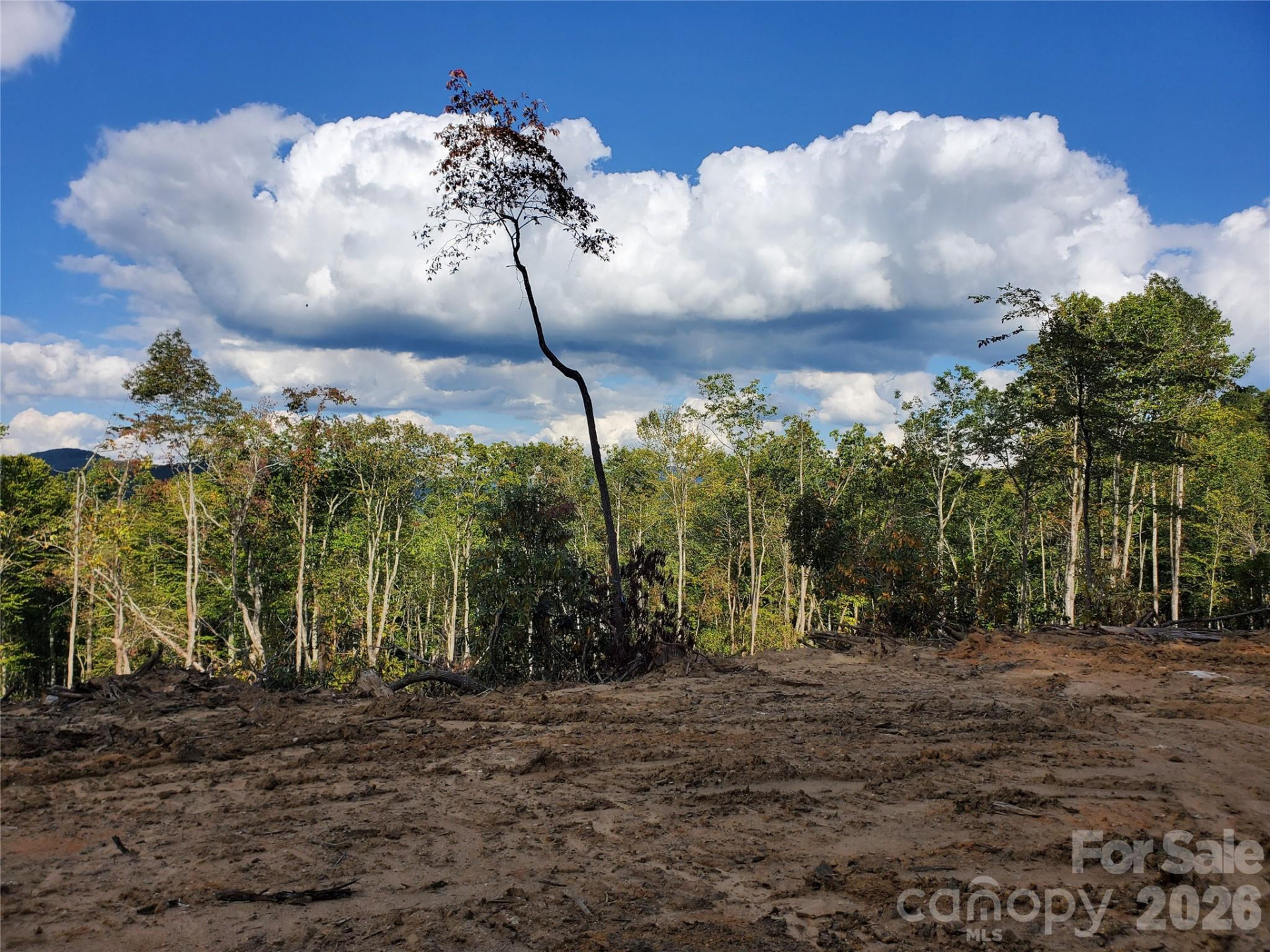 Lot 32 Parkwood Hill Road #32 - Photo 2