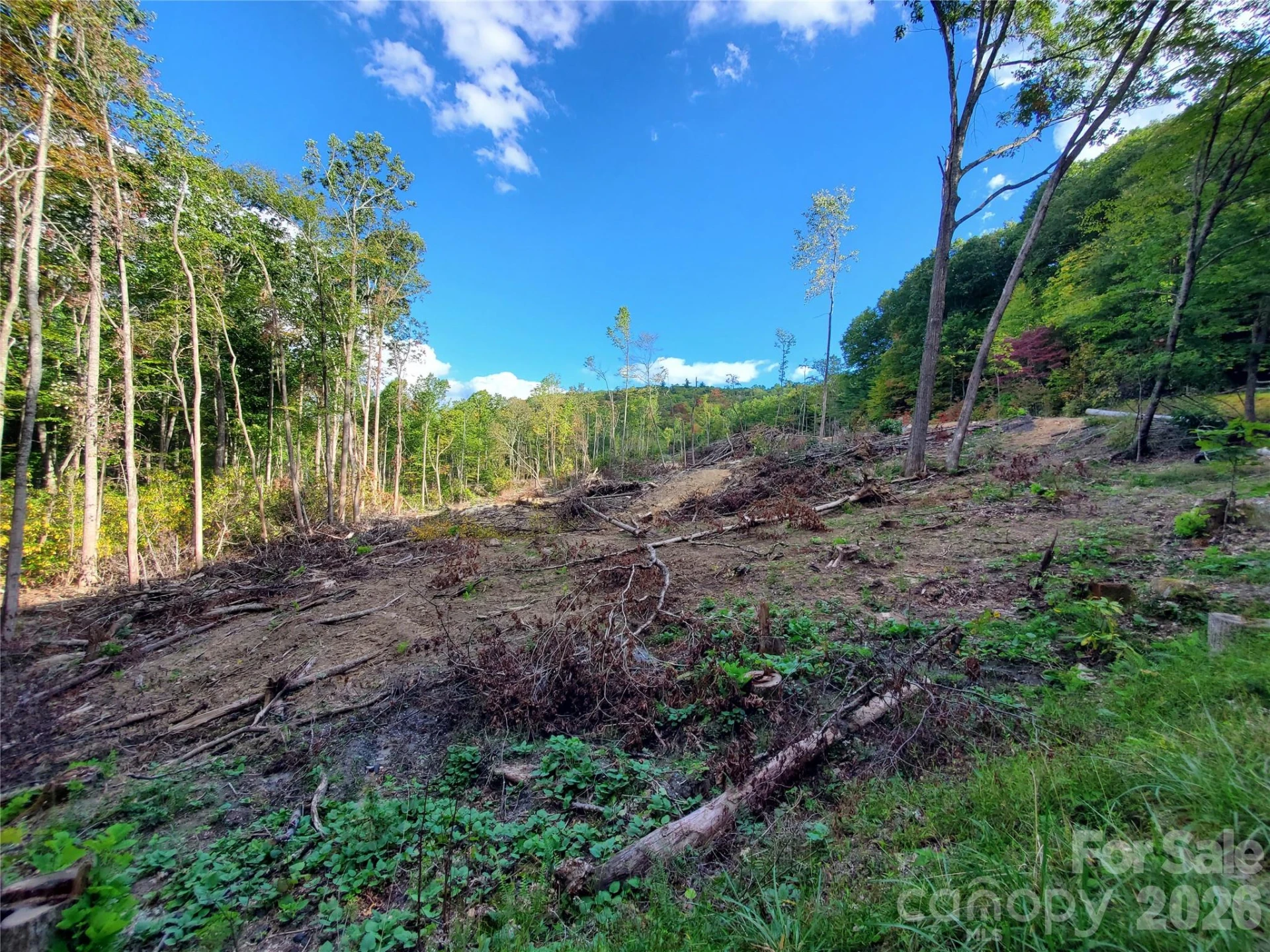 Lot 32 Parkwood Hill Road #32 - Photo 3