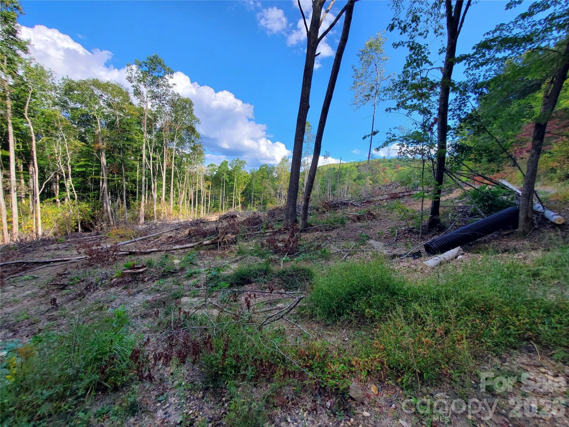 Lot 32 Parkwood Hill Road #32 - Photo 9