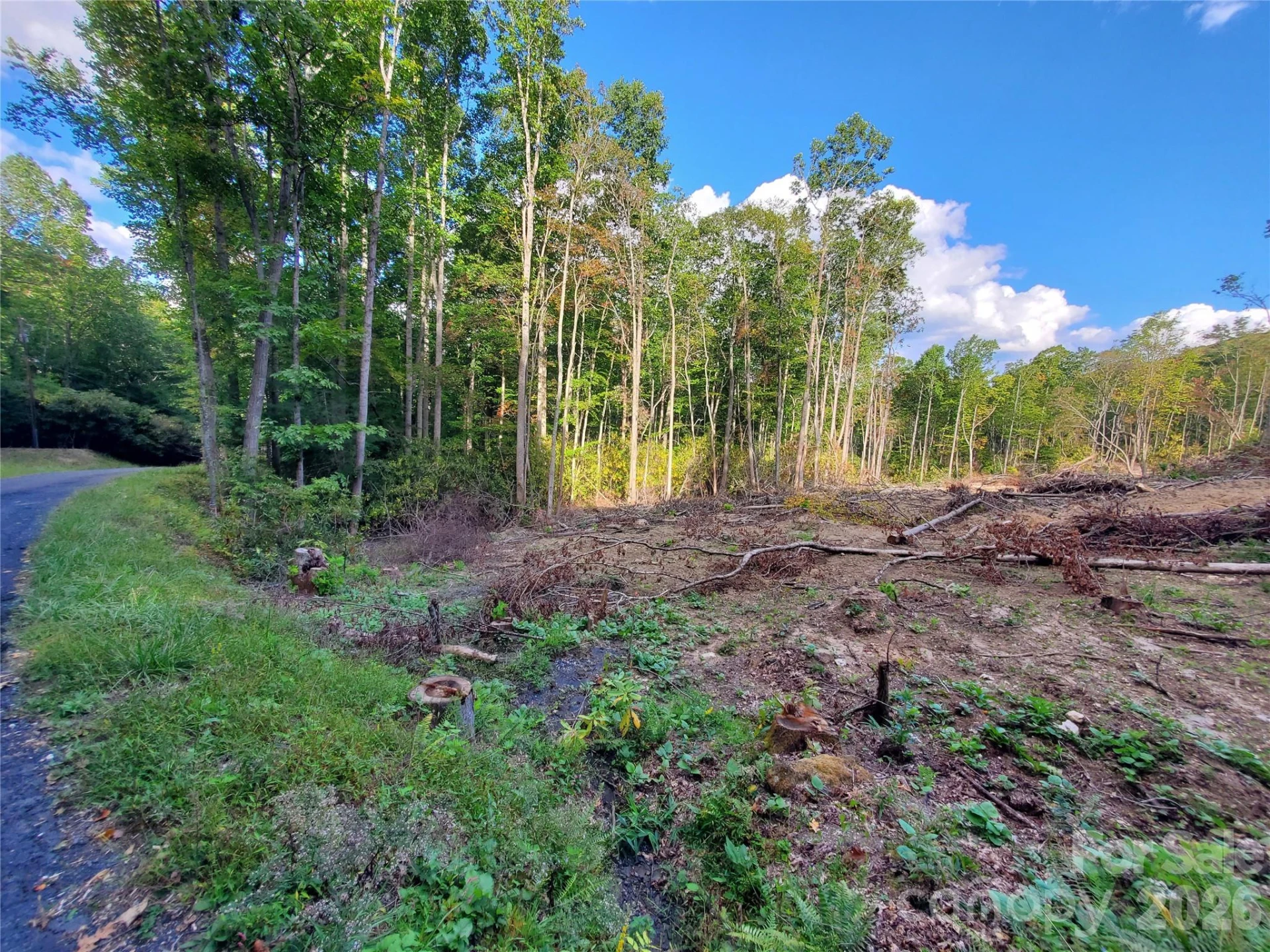 Lot 32 Parkwood Hill Road #32 - Photo 10