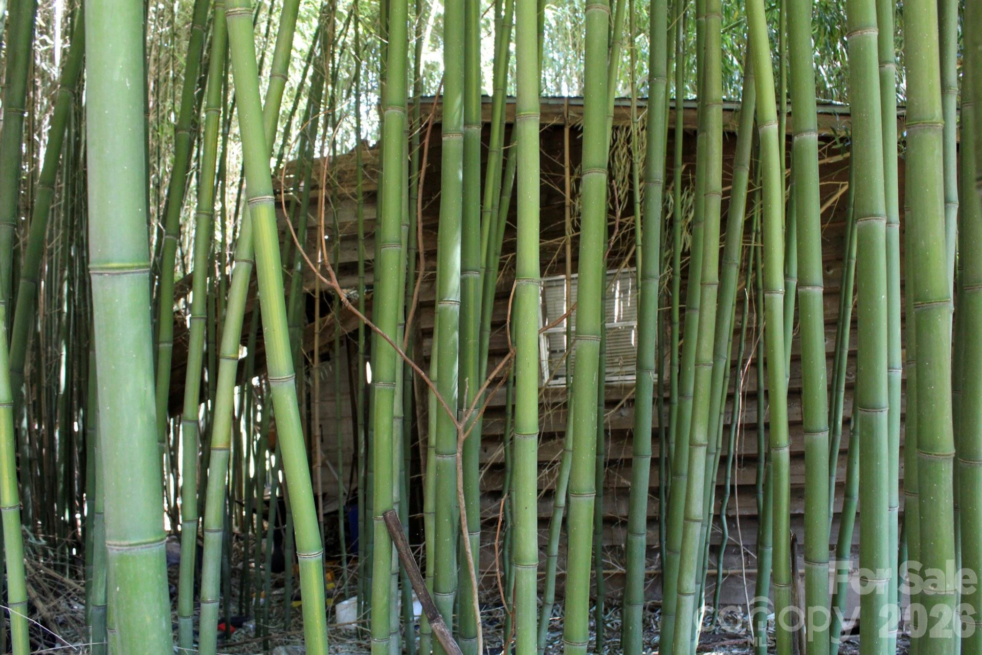 1293 Lake Logan Road - Photo 16