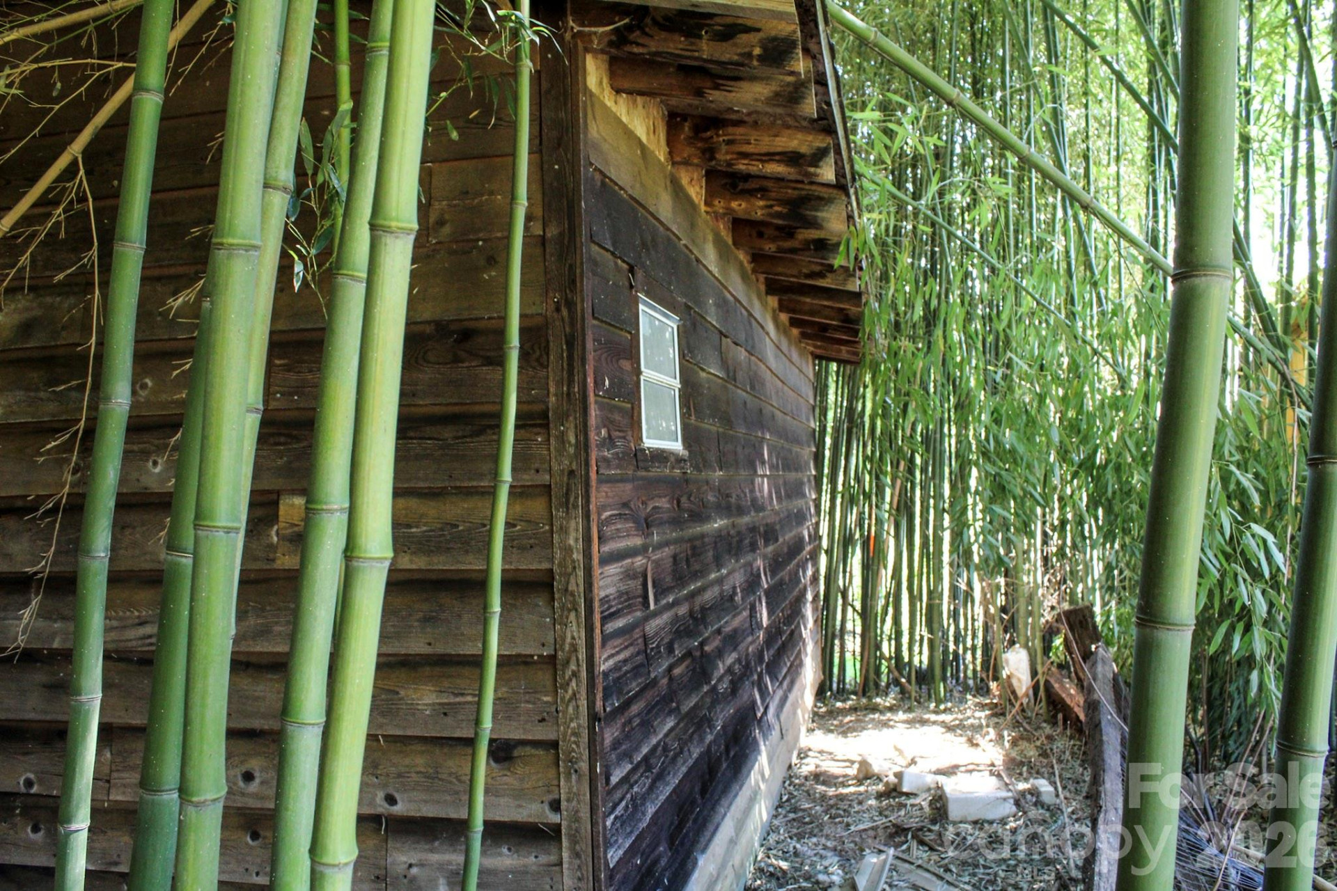 1293 Lake Logan Road - Photo 17