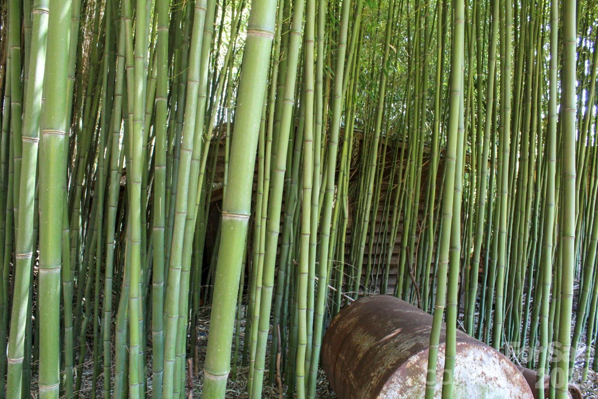 1293 Lake Logan Road - Photo 18