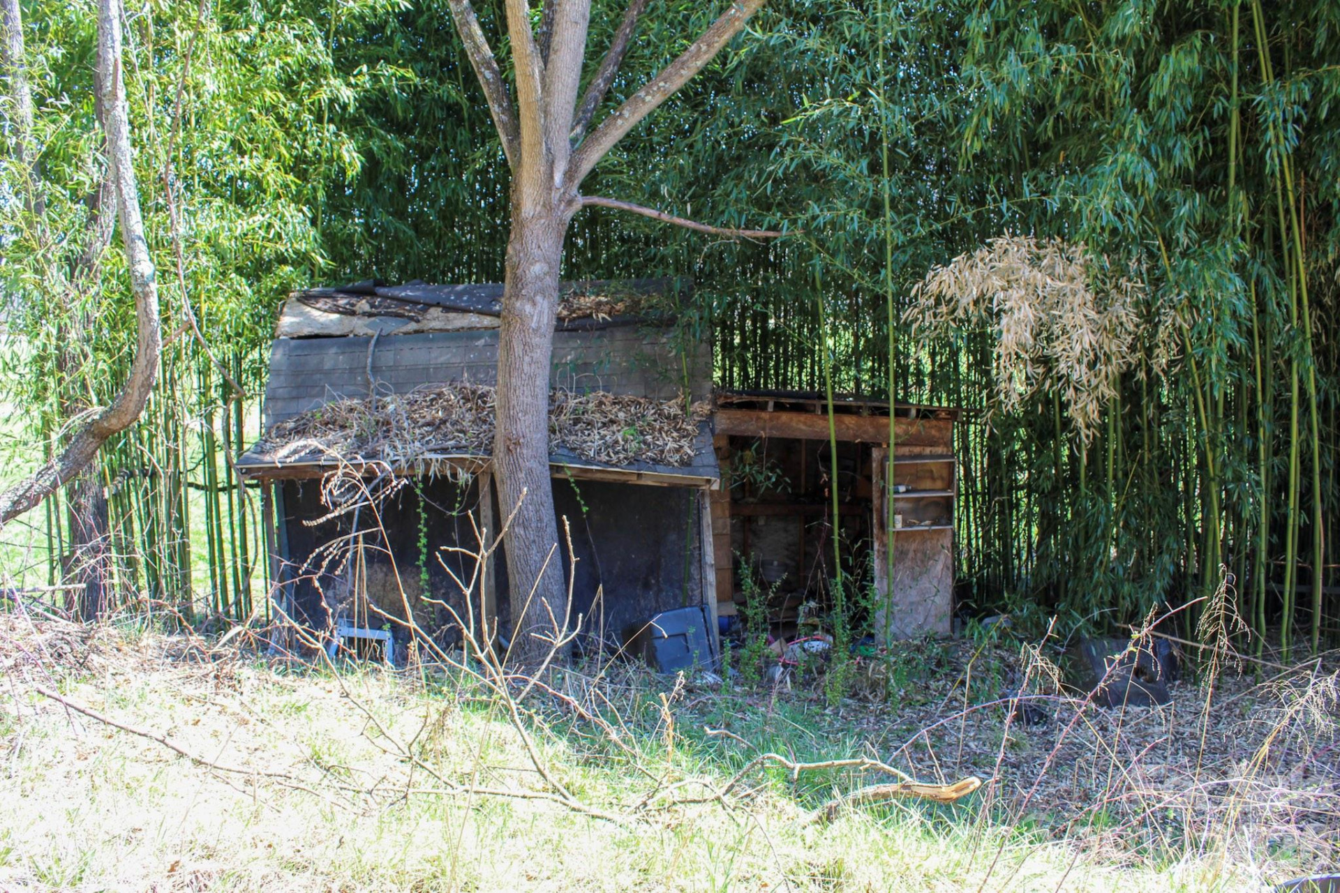 1293 Lake Logan Road - Photo 3