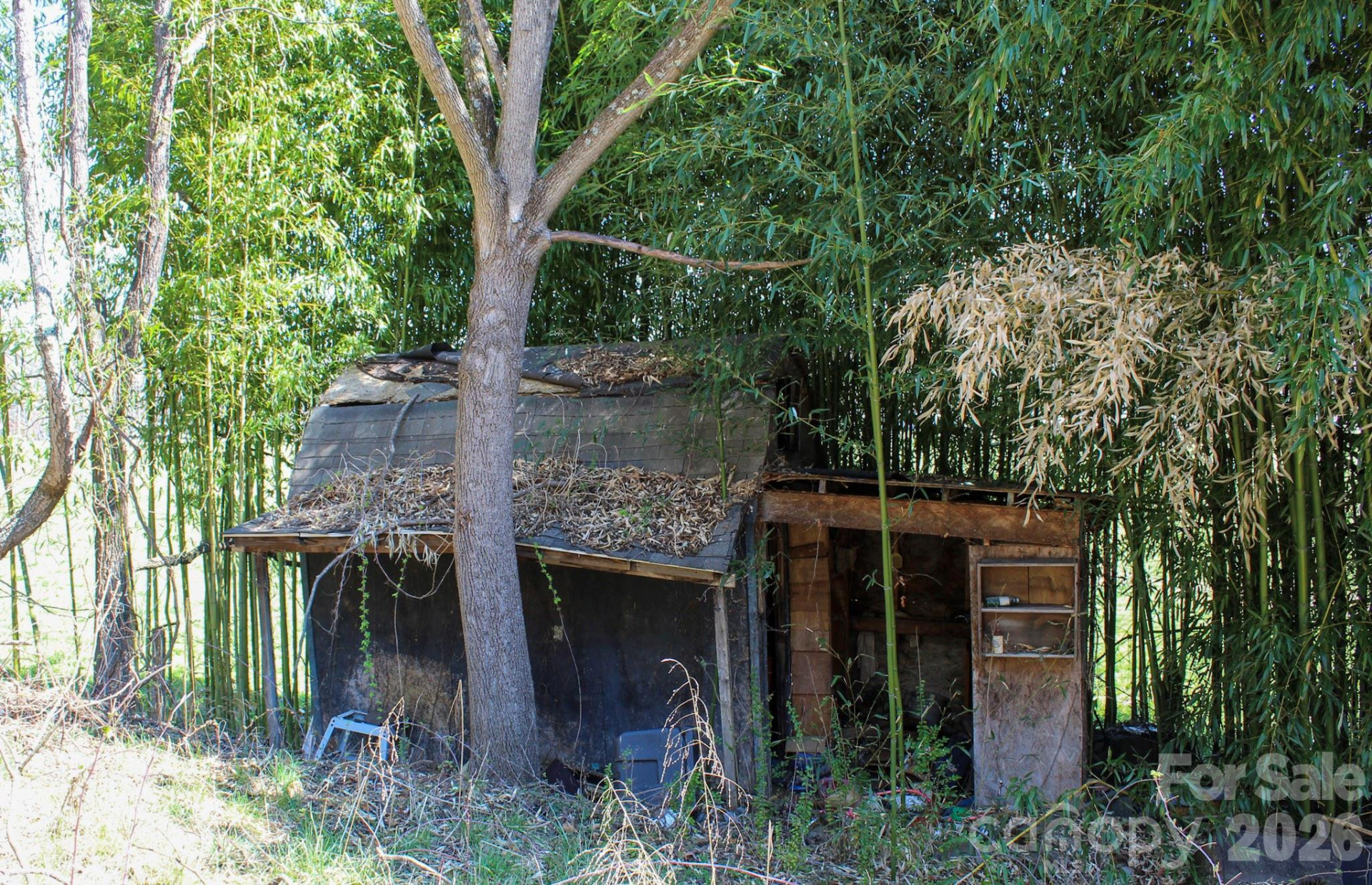 1293 Lake Logan Road - Photo 4