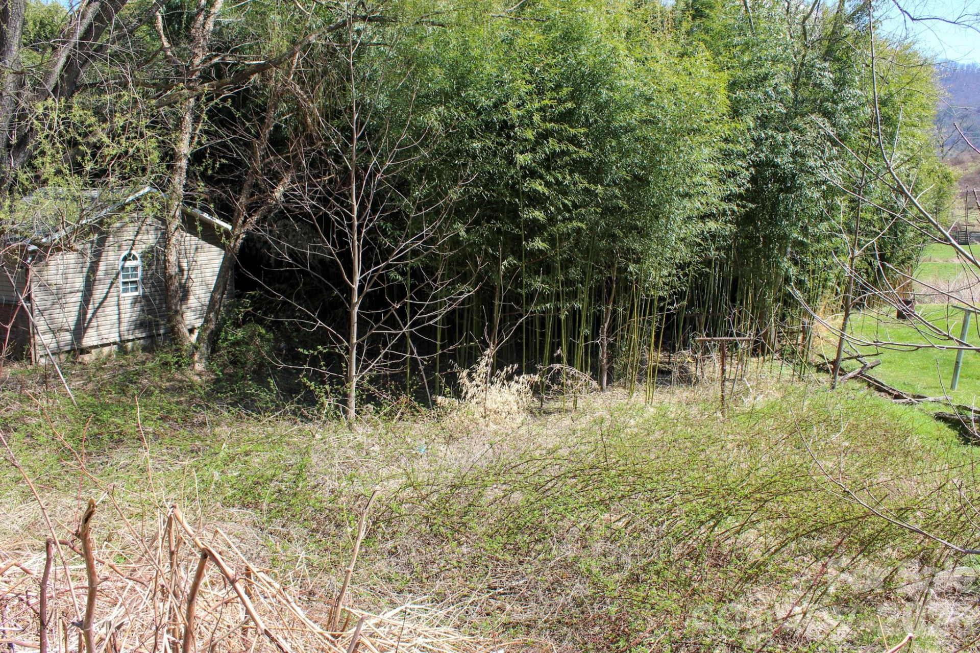 1293 Lake Logan Road - Photo 48