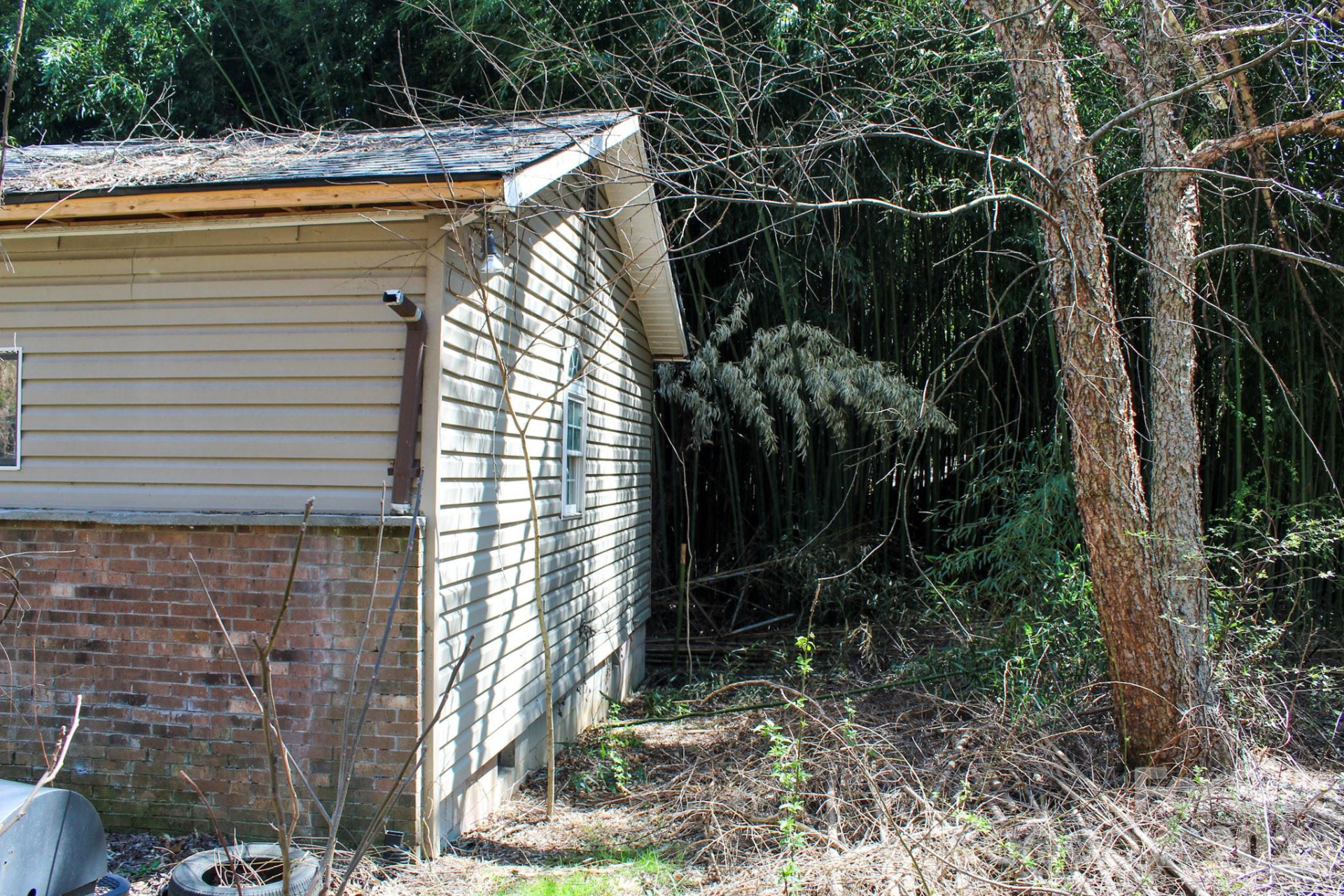 1293 Lake Logan Road - Photo 8