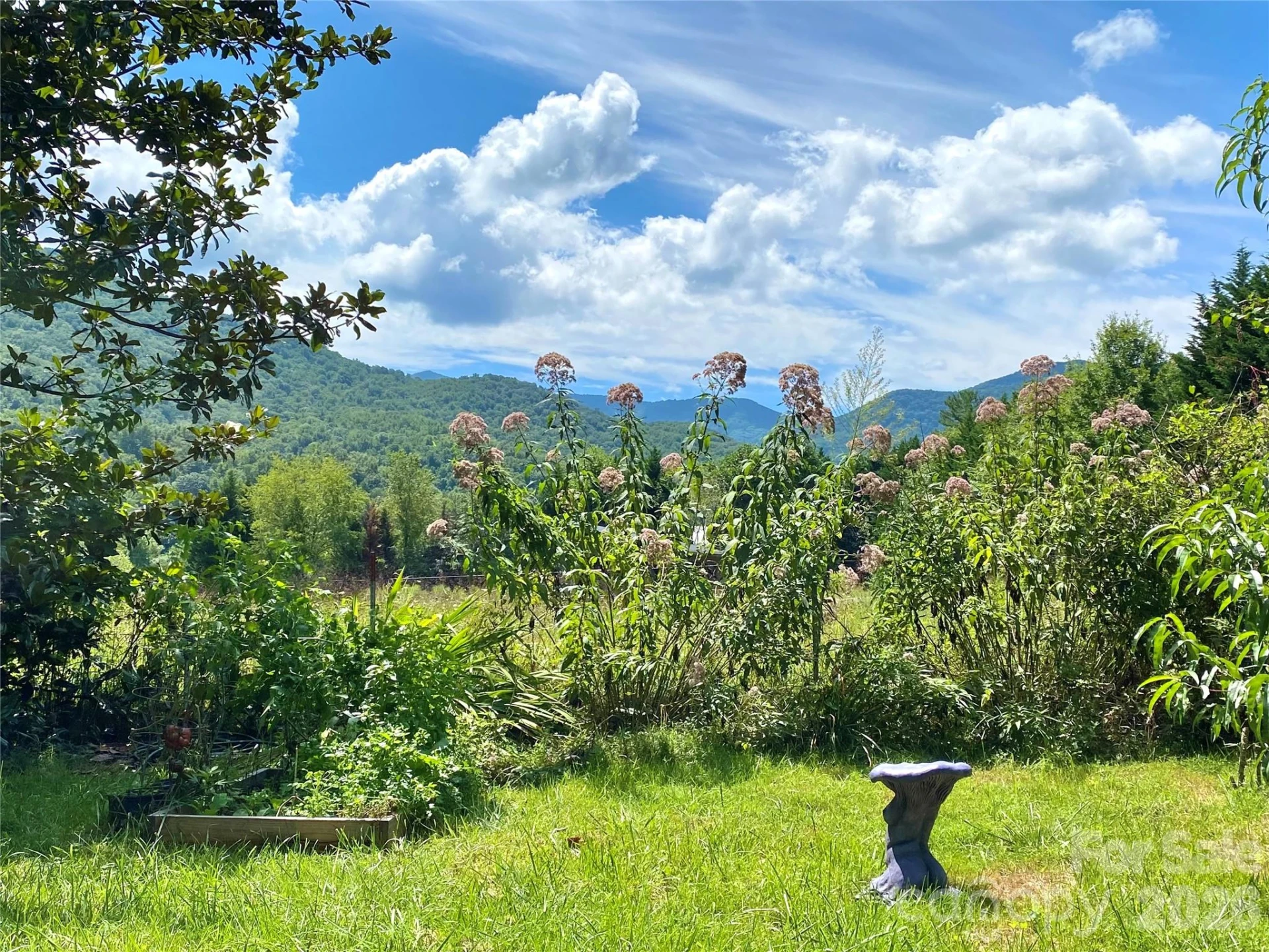 3 Taproot Trail - Photo 19