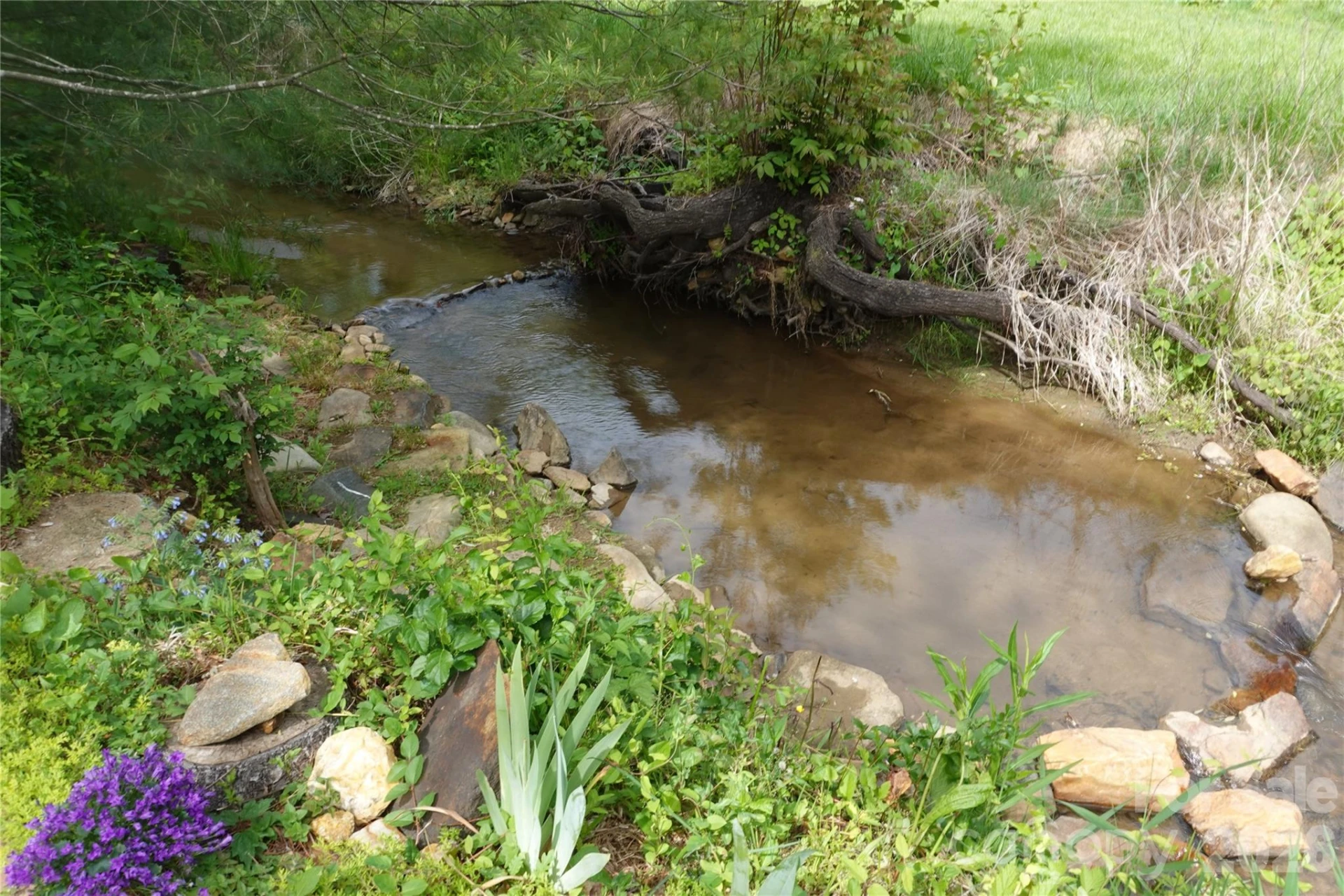 3 Taproot Trail - Photo 32