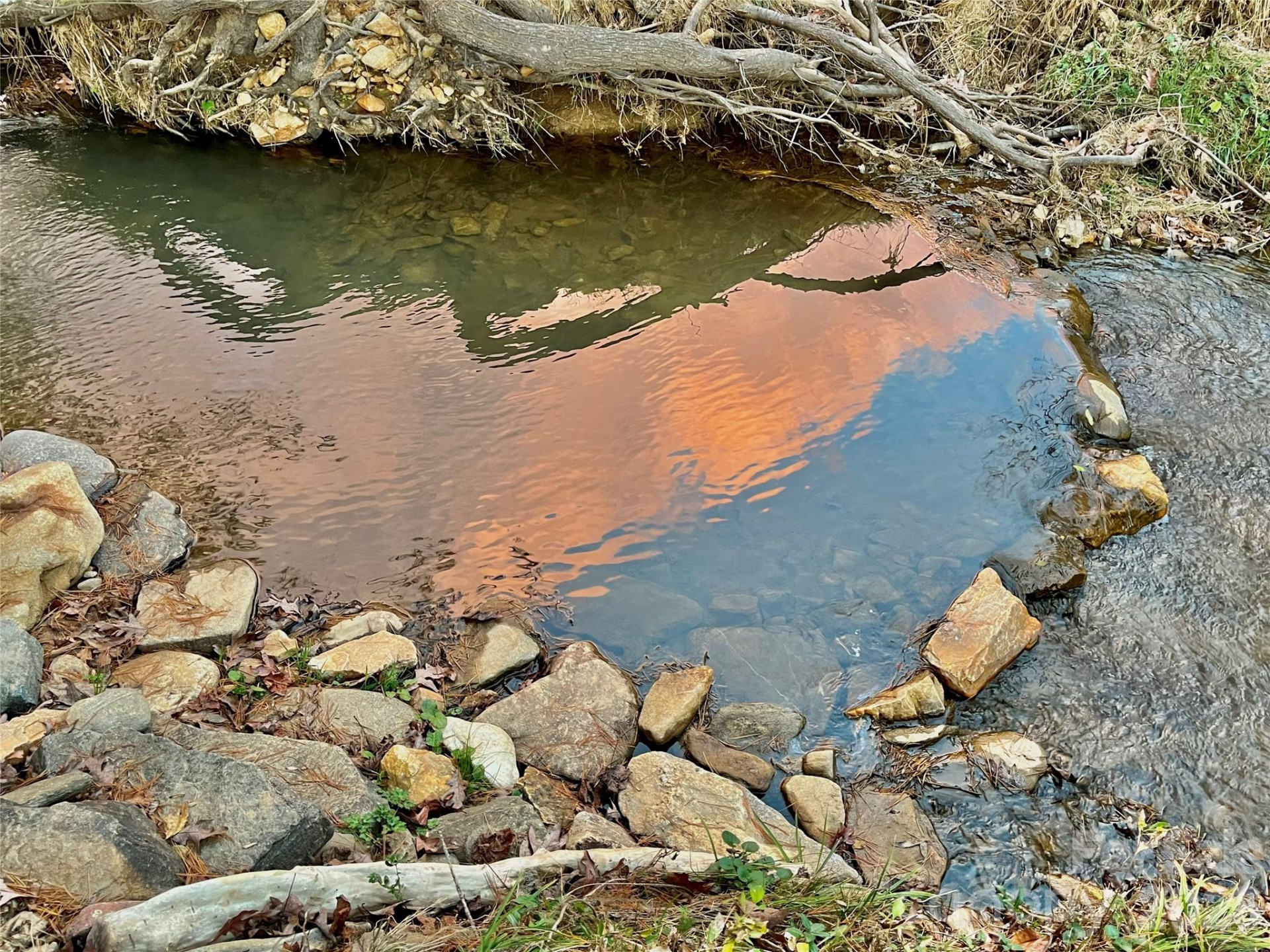 3 Taproot Trail - Photo 36